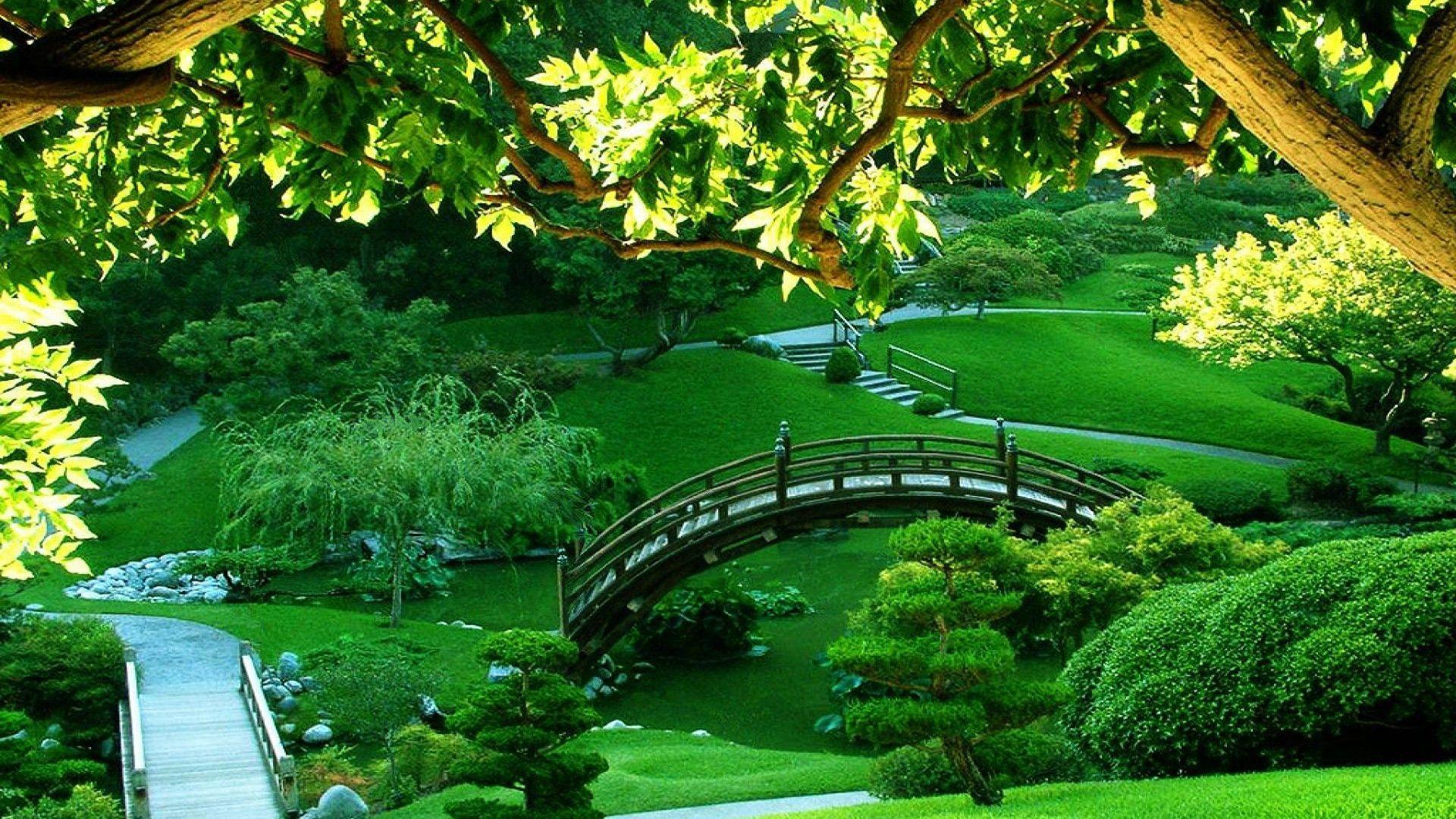 Garden Green Wallpapers - Top Free Garden Green Backgrounds -  WallpaperAccess