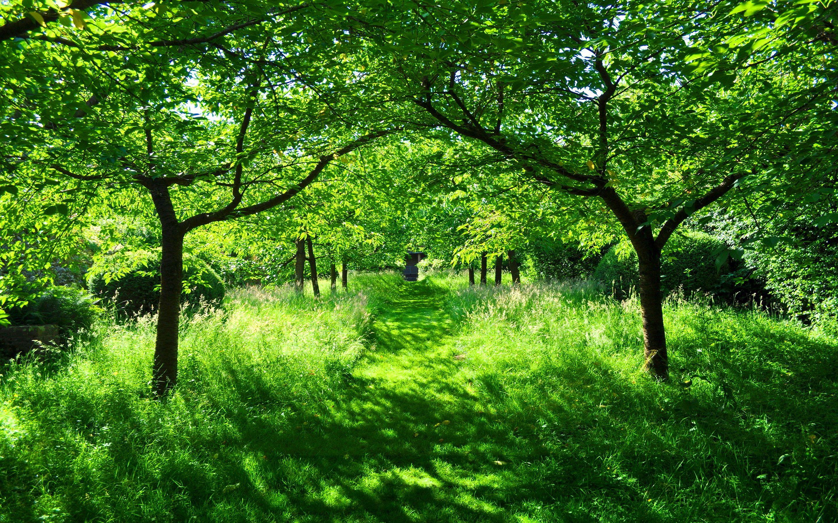Garden Green Wallpapers - Top Free Garden Green Backgrounds -  WallpaperAccess