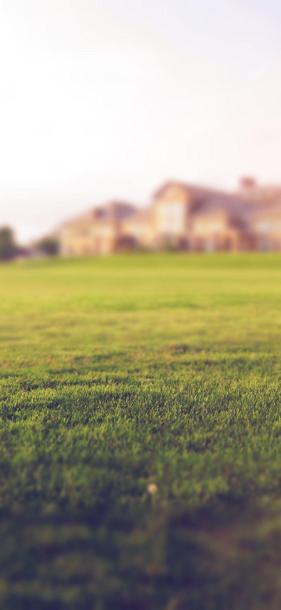 Garden Green Wallpapers Top Free Garden Green Backgrounds