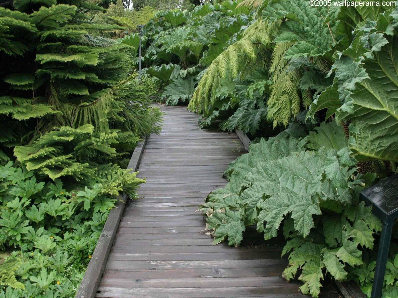 1600x1200 Free photo: Green Garden, Green, Nature