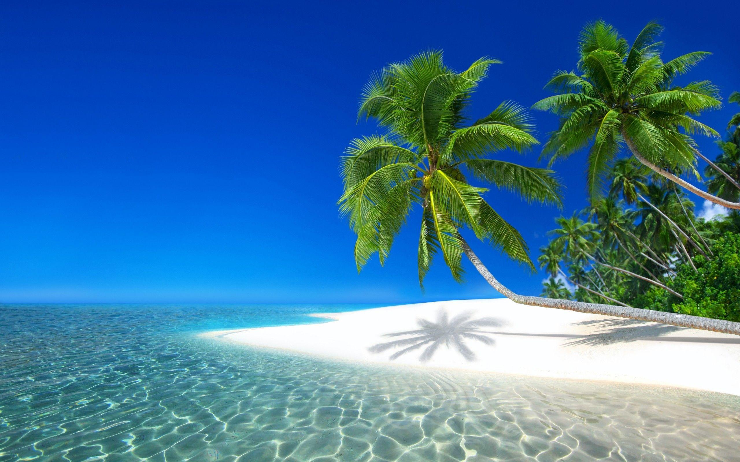 2560x1600 Download 2560x1600 Seychelles Resort, Ocean, Holiday, Beach, Island Wallpaper for MacBook Pro 13 inch