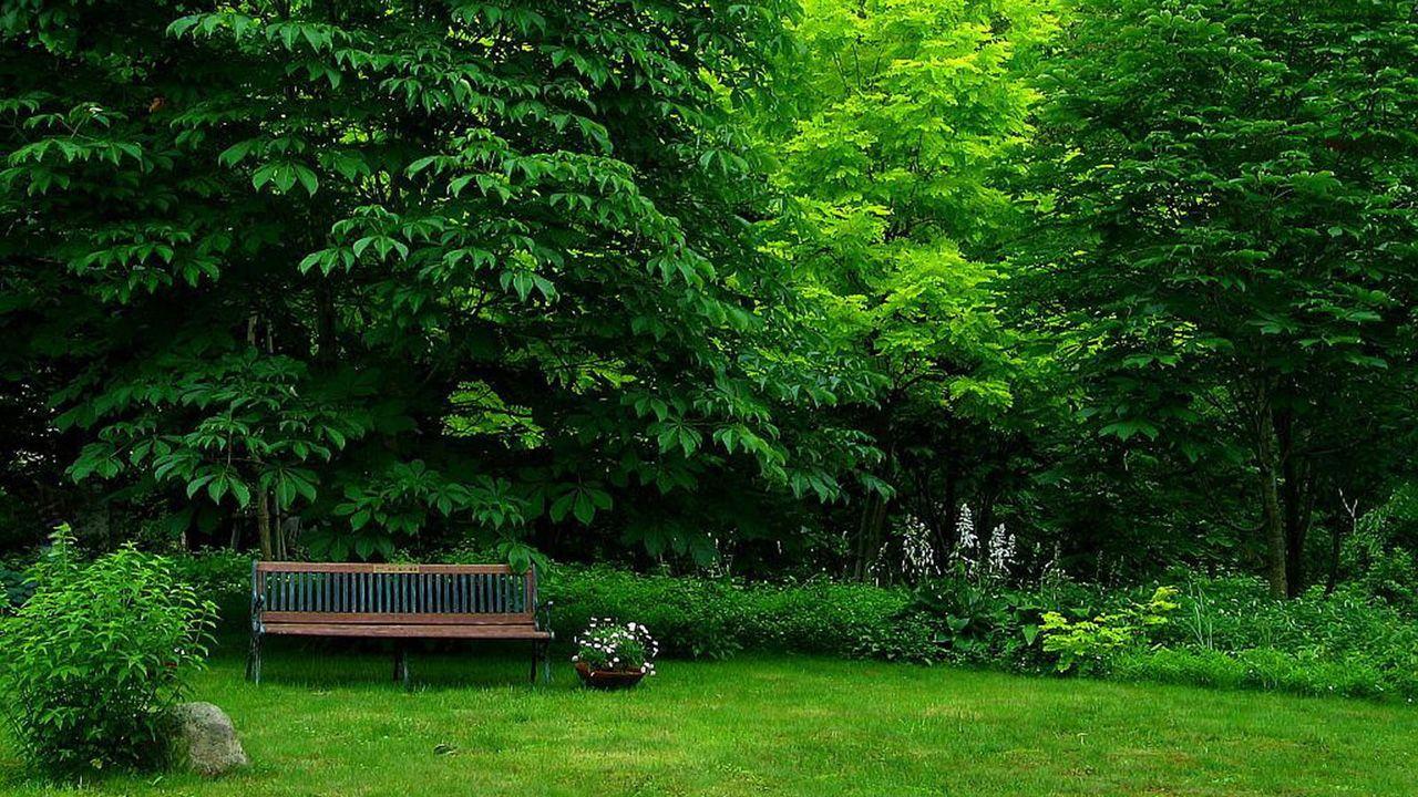 1280x720 1280x720px Green Garden (568.19 KB).08.2015