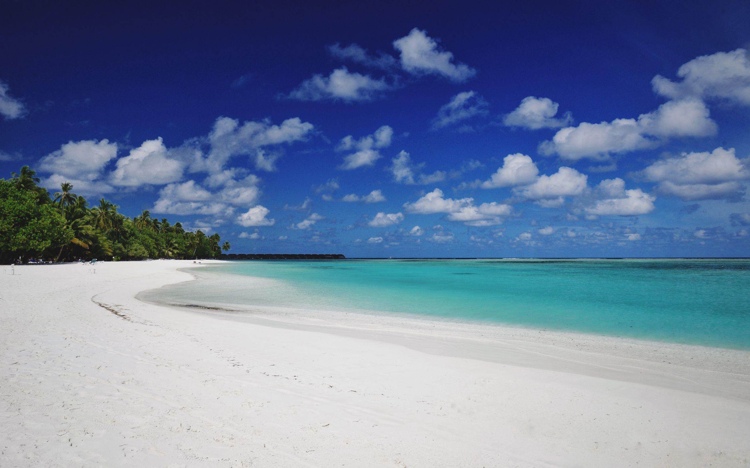 2560x1600 Download wallpaper 2560x1600 beach, sand, palm, island, tropical, maldives widescreen 16:10 HD background