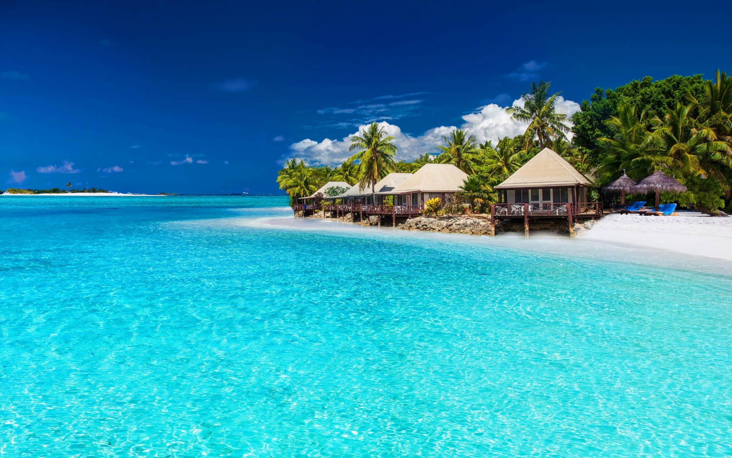 2560x1600 Tropical Beach Wallpaper 2560x1600 56401