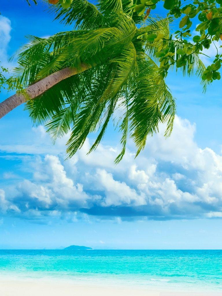 768x1024 Tropical Beach Resorts Ultra HD Desktop Background Wallpaper for 4K UHD TV : Widescreen & UltraWide Desktop & Laptop : Tablet