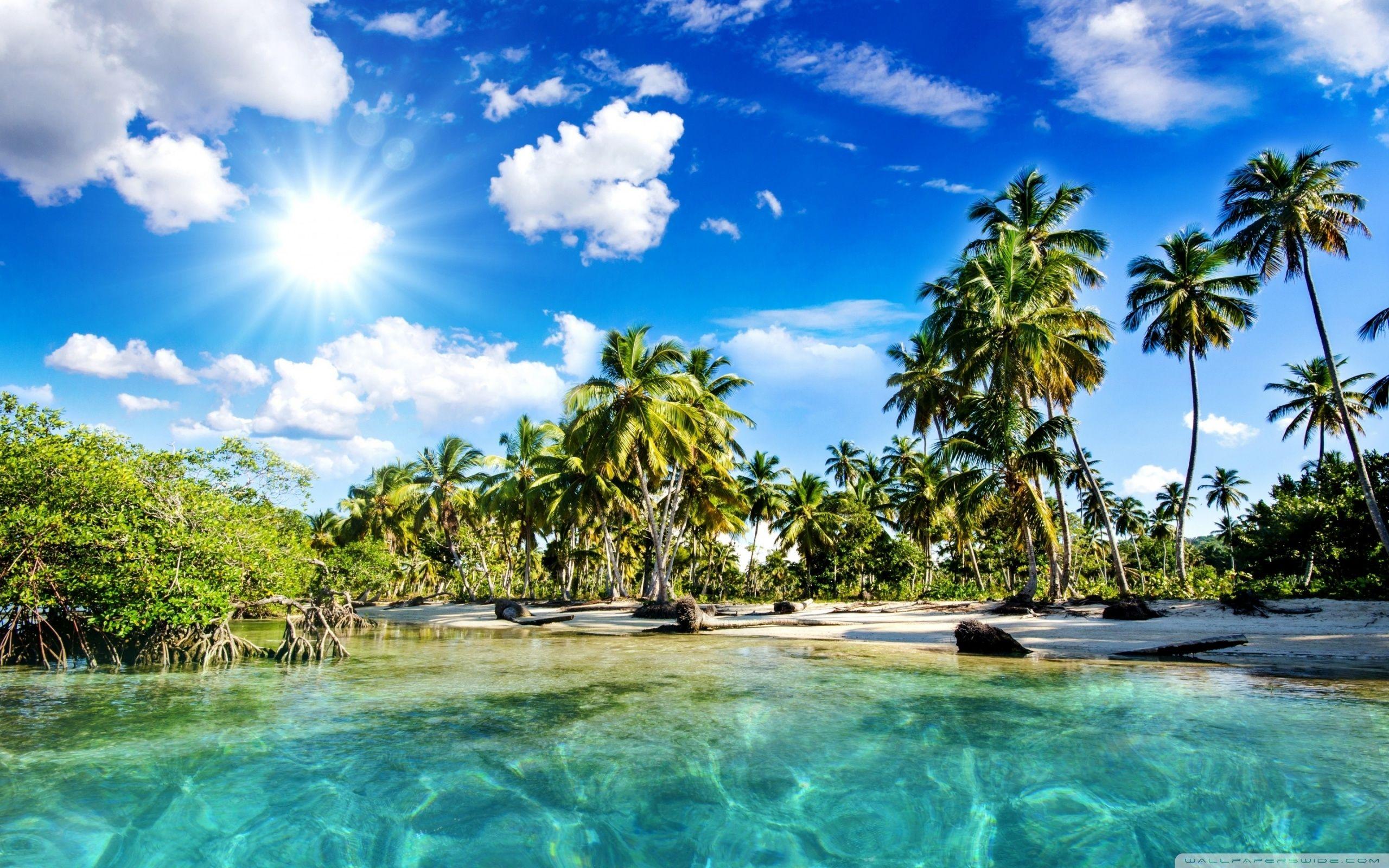 2560x1600 Tropics Palm Trees Sun Beach Wallpaper 2560x1600 :