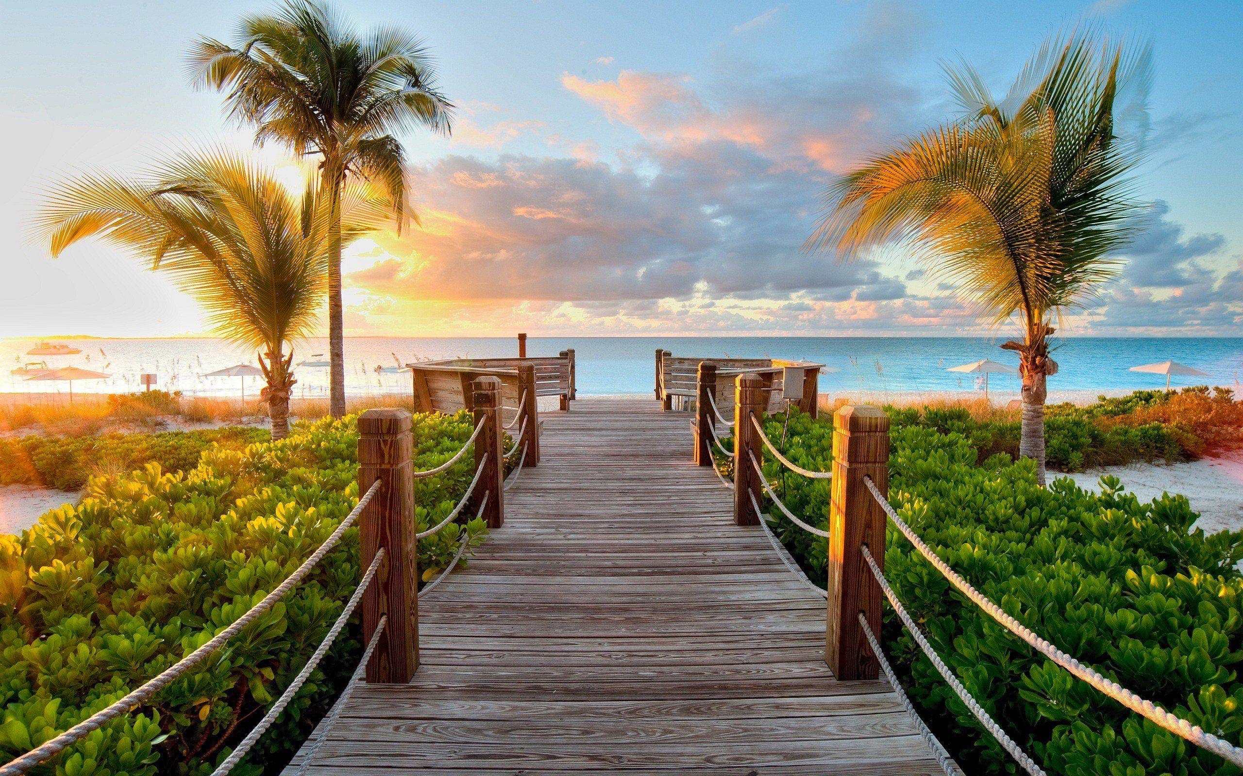 2560x1600 sunset, Path, Island, Beach, Palm trees HD Wallpaper / Desktop and Mobile Image & Photo