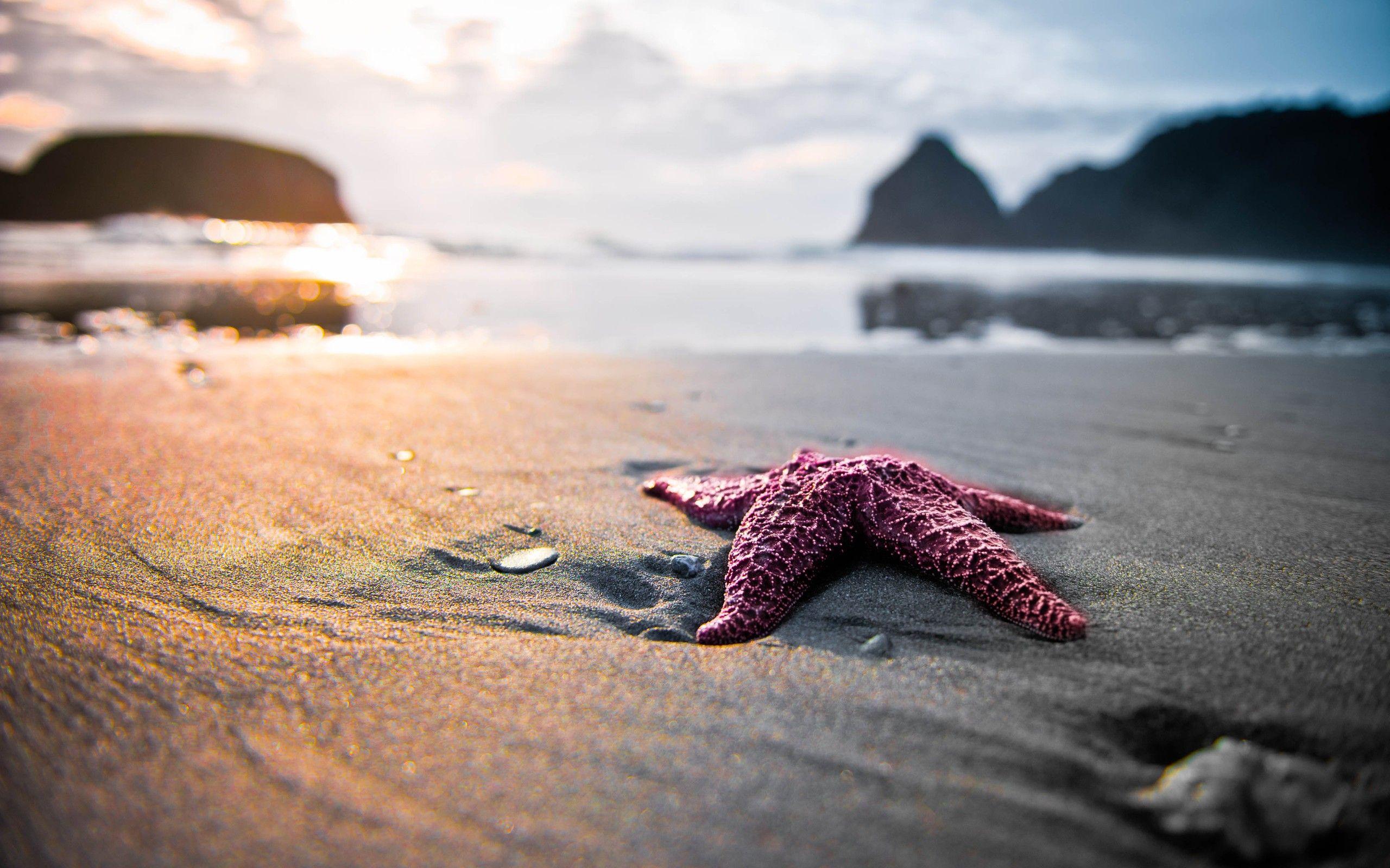 2560x1600 Beach Wallpaperx1600