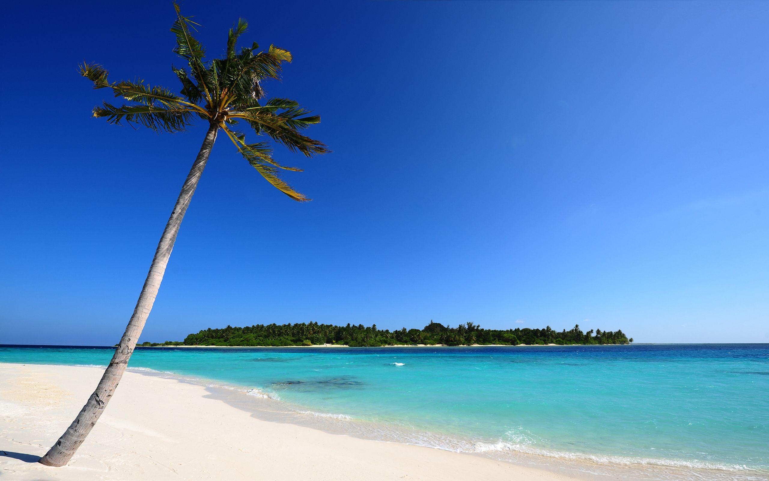 2560x1600 Beautiful Beach