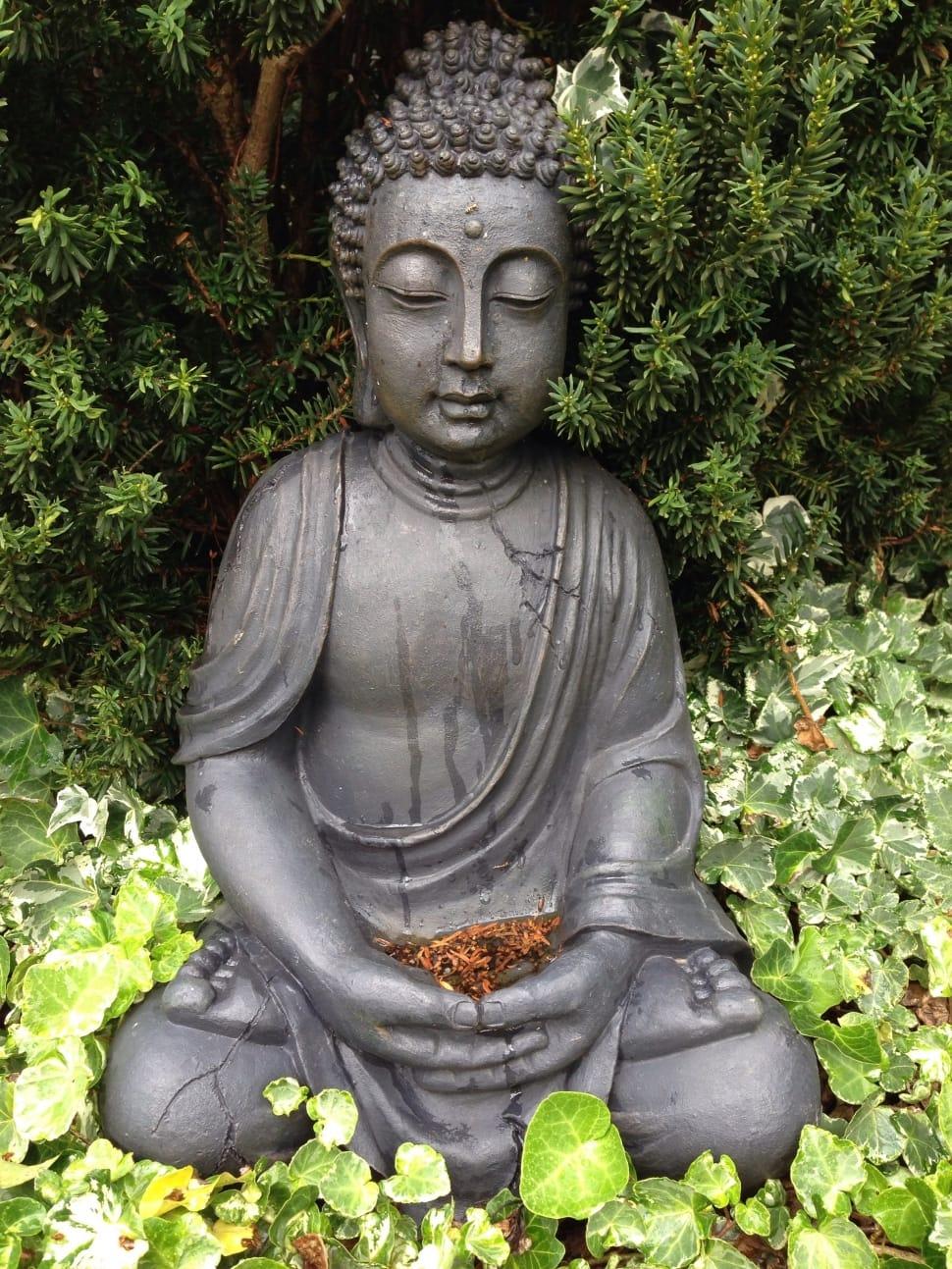 Buddha Garden Wallpapers - Top Free Buddha Garden Backgrounds ...