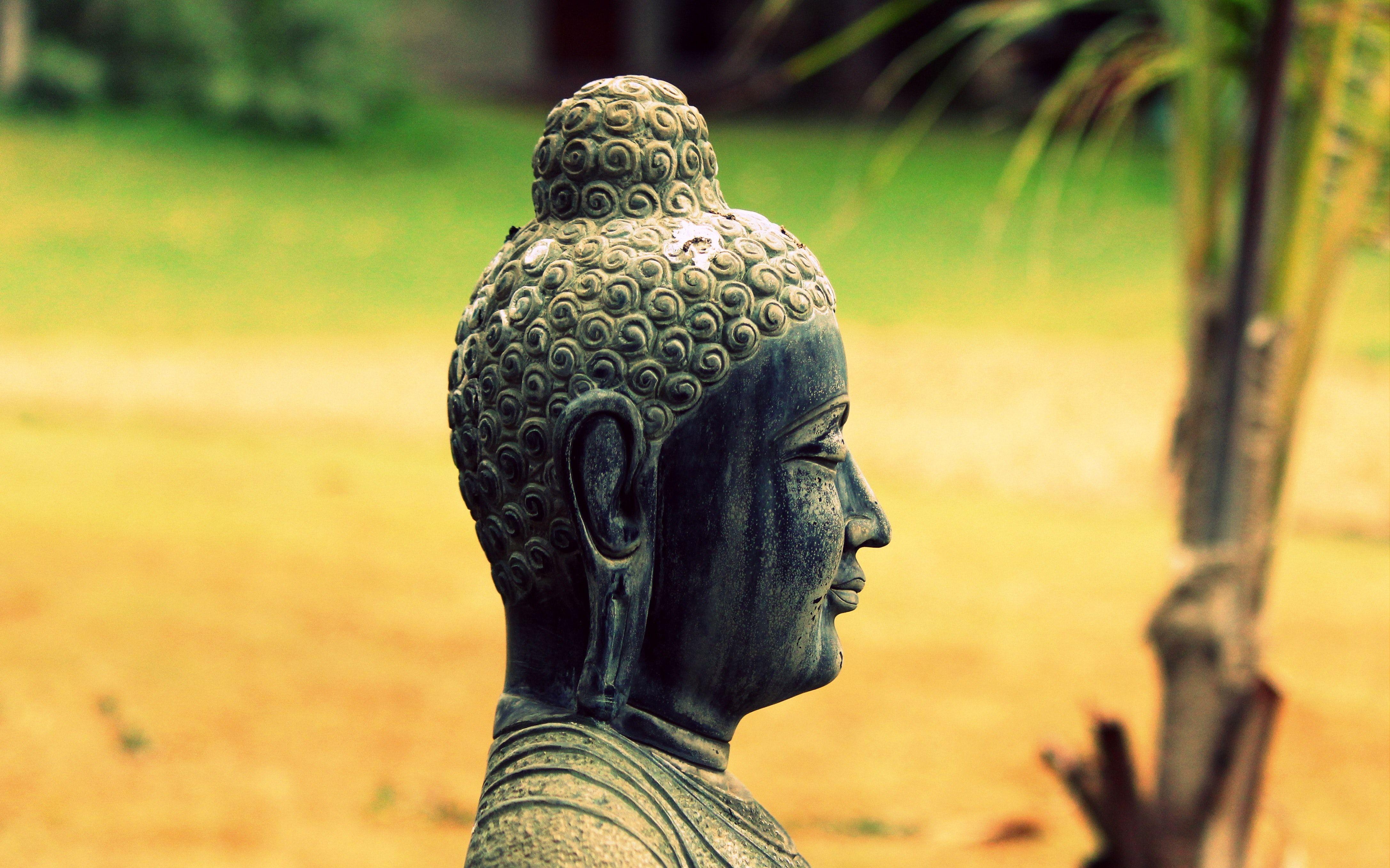 4347x2716 Free of buddha, Buddhism, garden