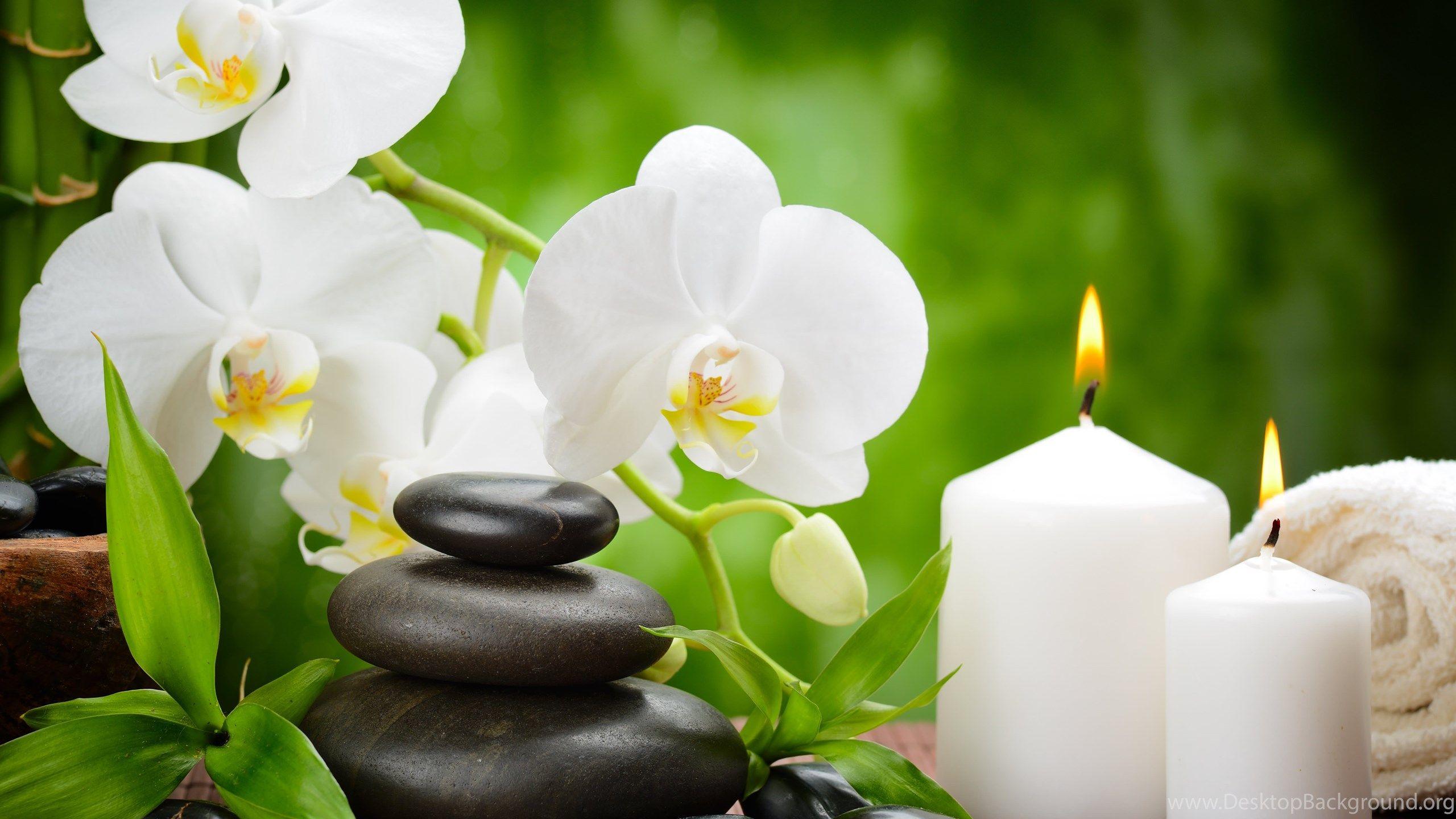 Poster Zen Jardin Fleur Relaxation – Ambiance Bouddha Déco Murale