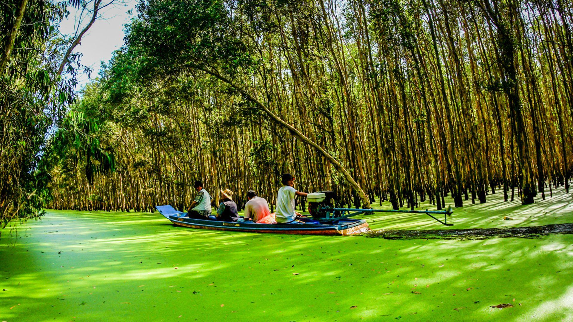 1920x1080 An Giang Known As The Long Xuyen Quadrangle, The Largest Granary Of Mekong Delta Detsktop HD Wallpaper 1920x1080 :