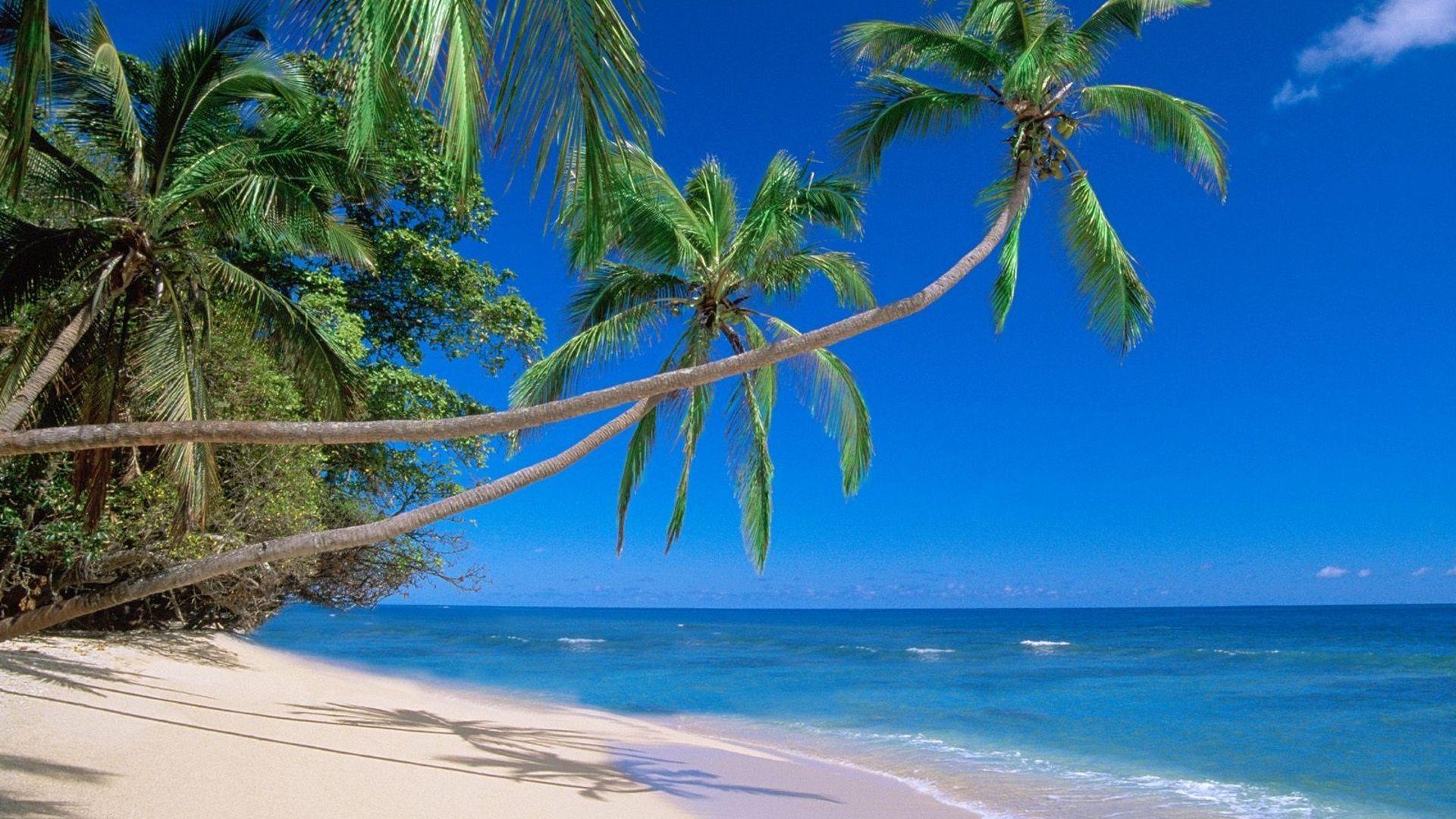 1920x1080 Fiji Wallpaper HD. Fiji beach, Hawaii beaches, Beach