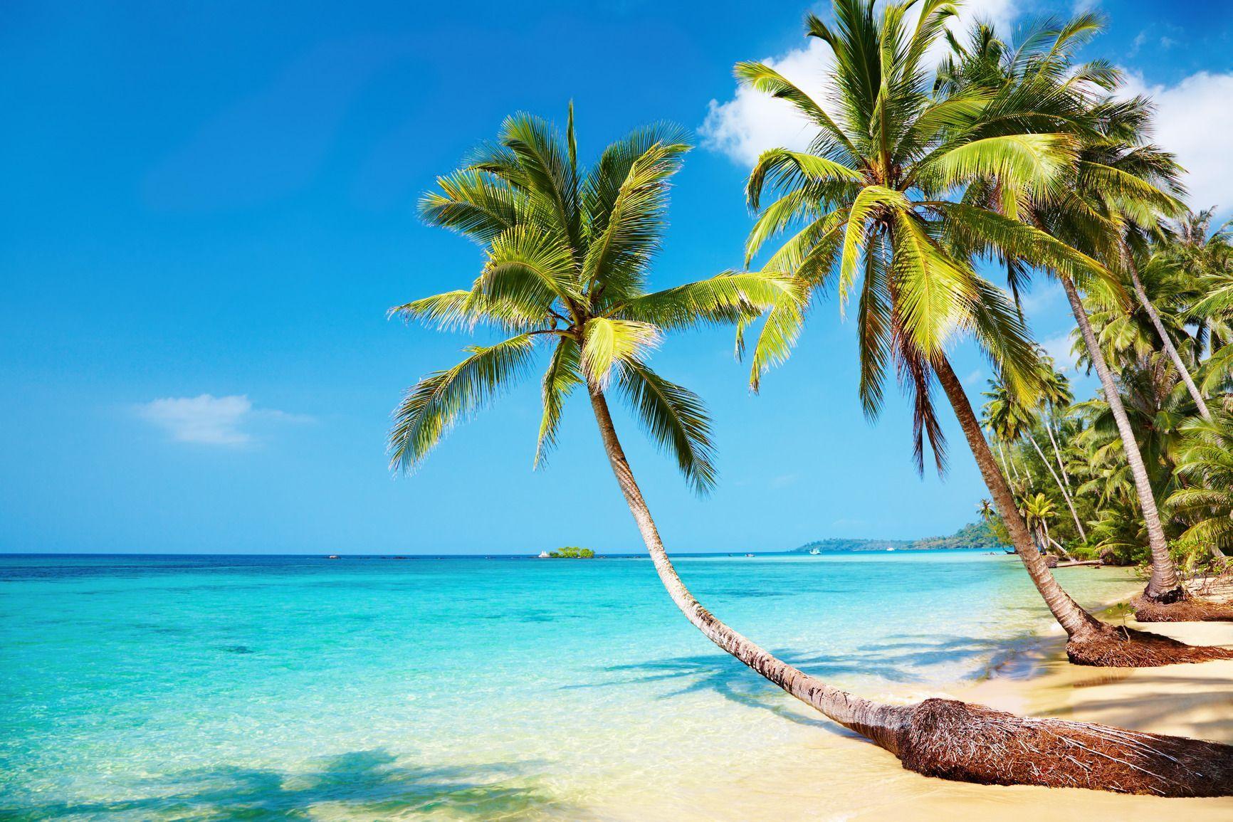 1732x1155 Ultimate Fiji Islands Guide. Beach wallpaper, Beach image, Beach photo