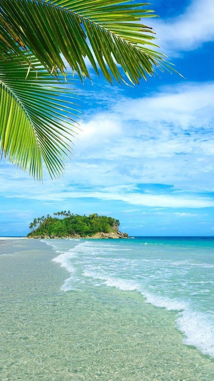 736x1305 Fiji iPhone Wallpaper