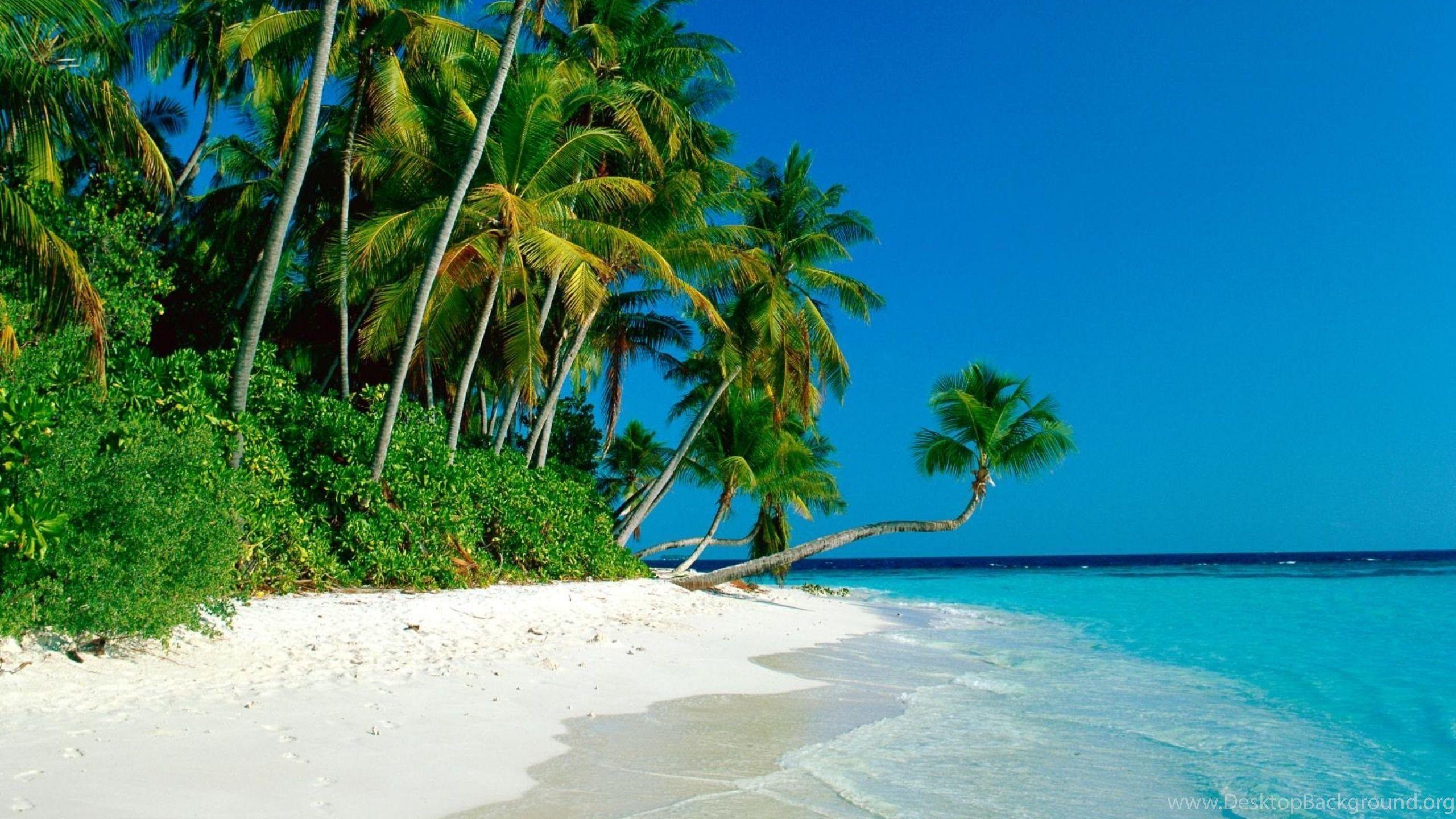 2560x1440 Fiji Beaches Wallpaper For iPhone Desktop Background