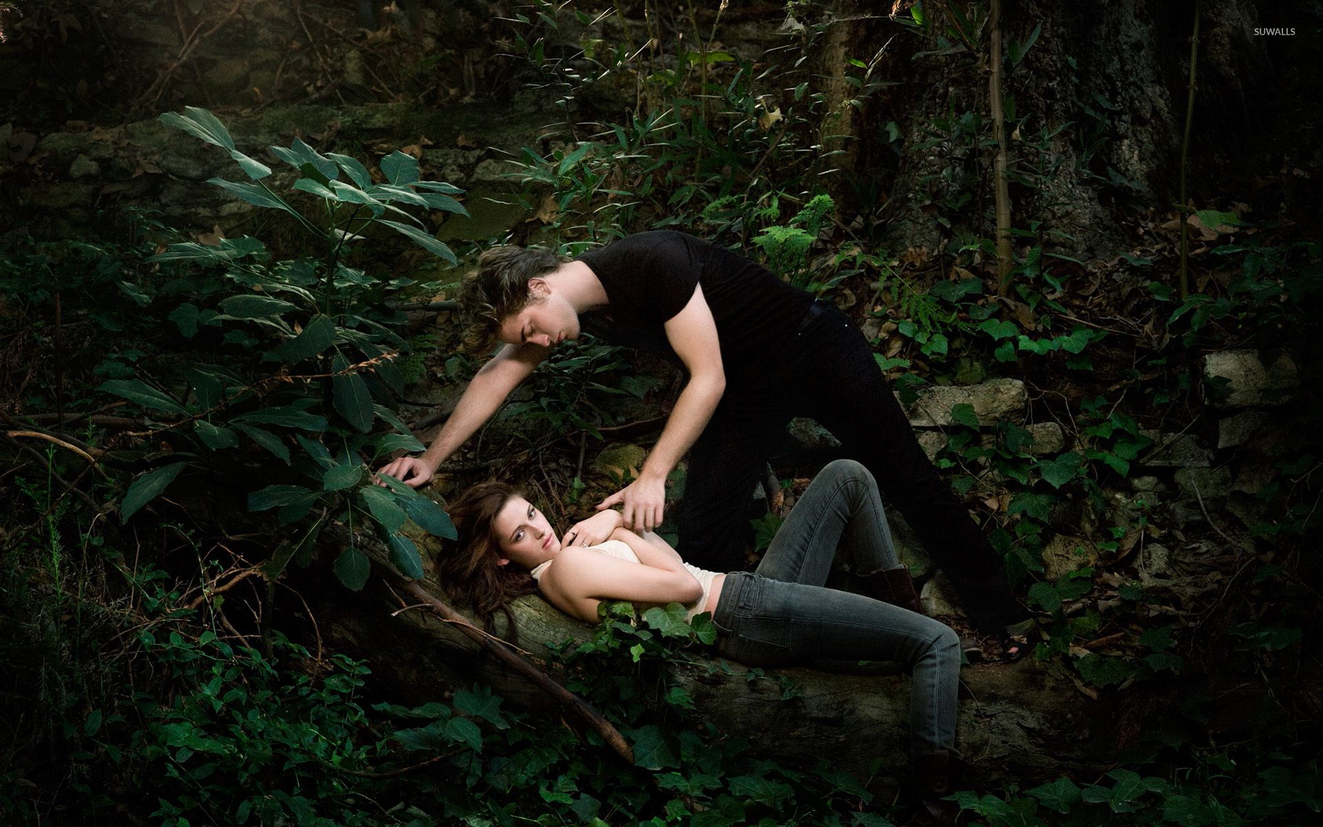 1920x1200 Bella and Edward wallpaper wallpaper