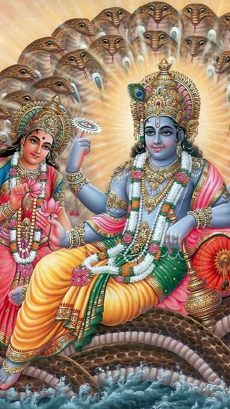 800x1422 HD vasudeva wallpaper