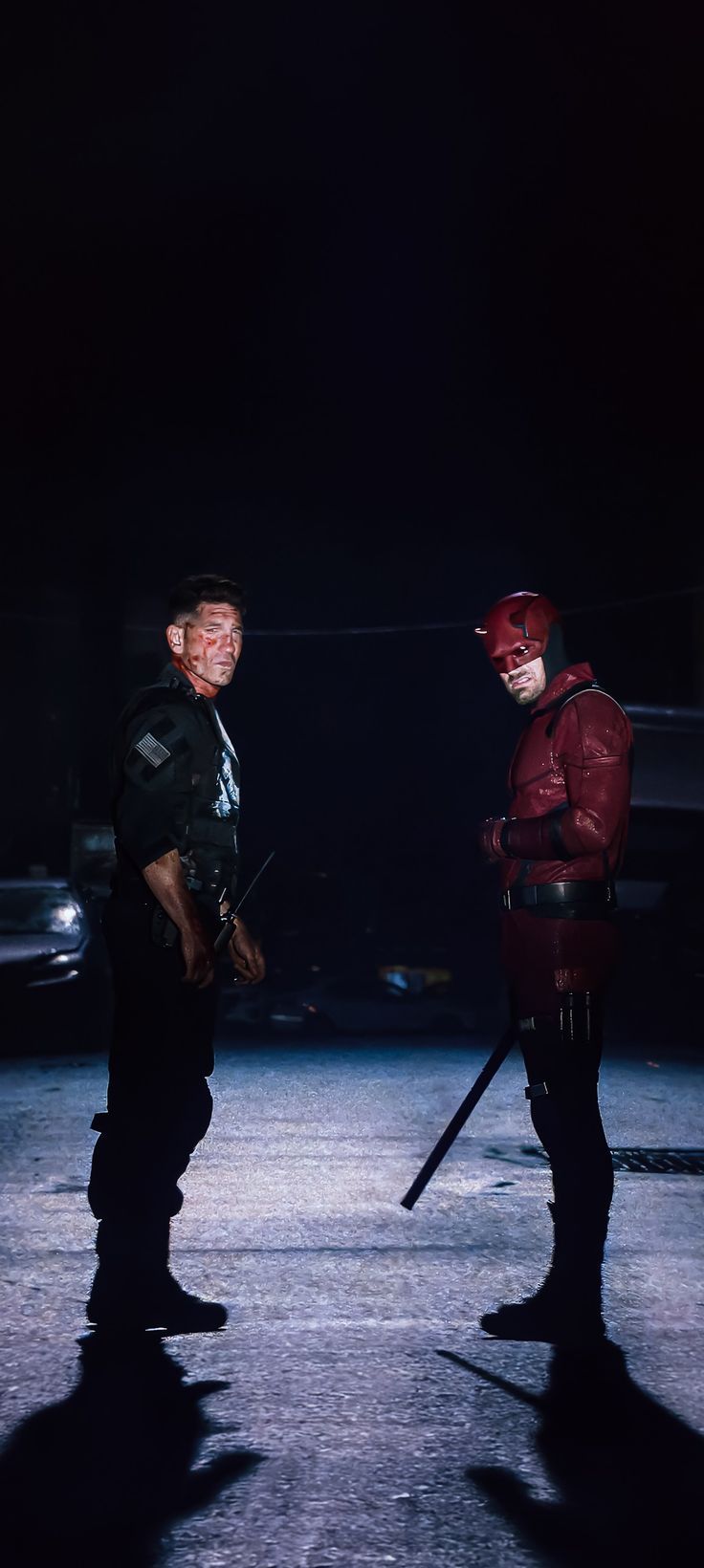 736x1640 Punisher and Daredevil