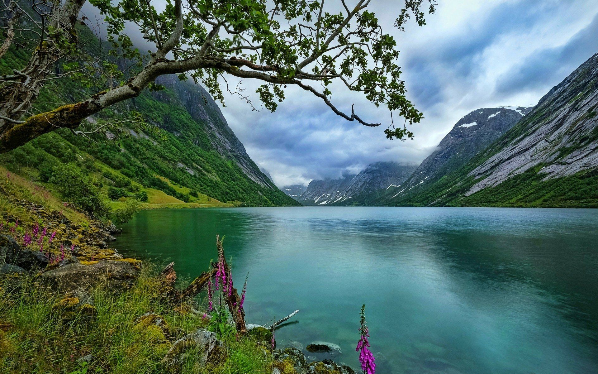 1920x1200 Tree Framed Norwegian Lake: Green Mountain Serenity (HD Wallpaper)x1200
