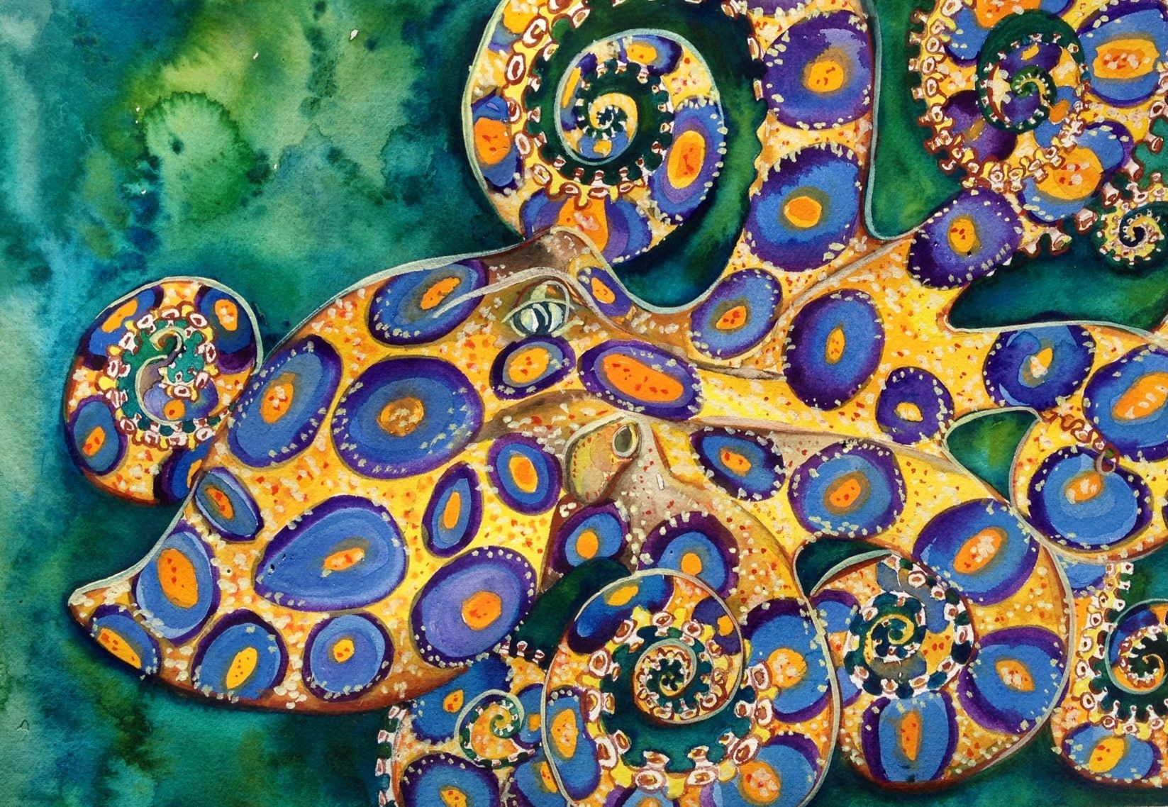 1647x1138 Download Octopus Animal Blue Ringed Octopus Wallpaperx1138