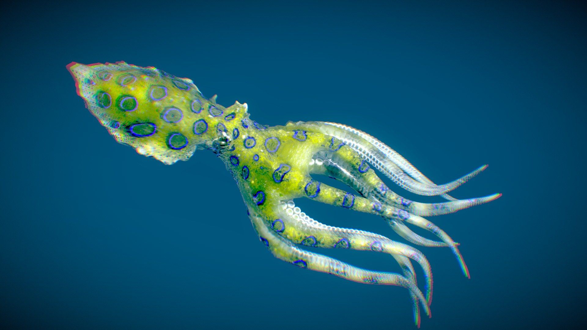 1920x1080 Greater Blue Ringed Octopus Model By Nestaeric [32bbd7b]
