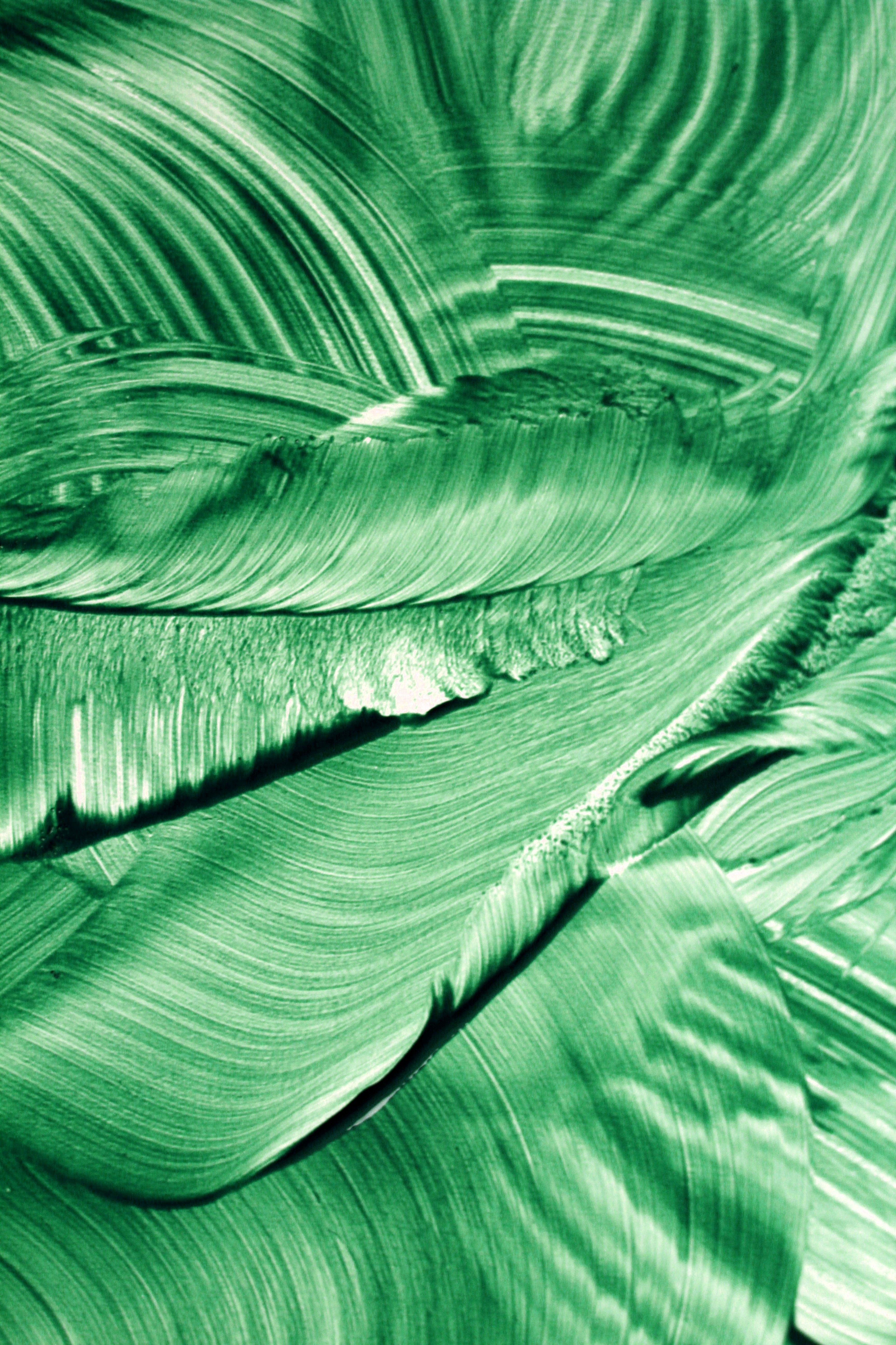 3456x5184 Phthalo Green Photo, Download The BEST Free Phthalo Green & HD Image