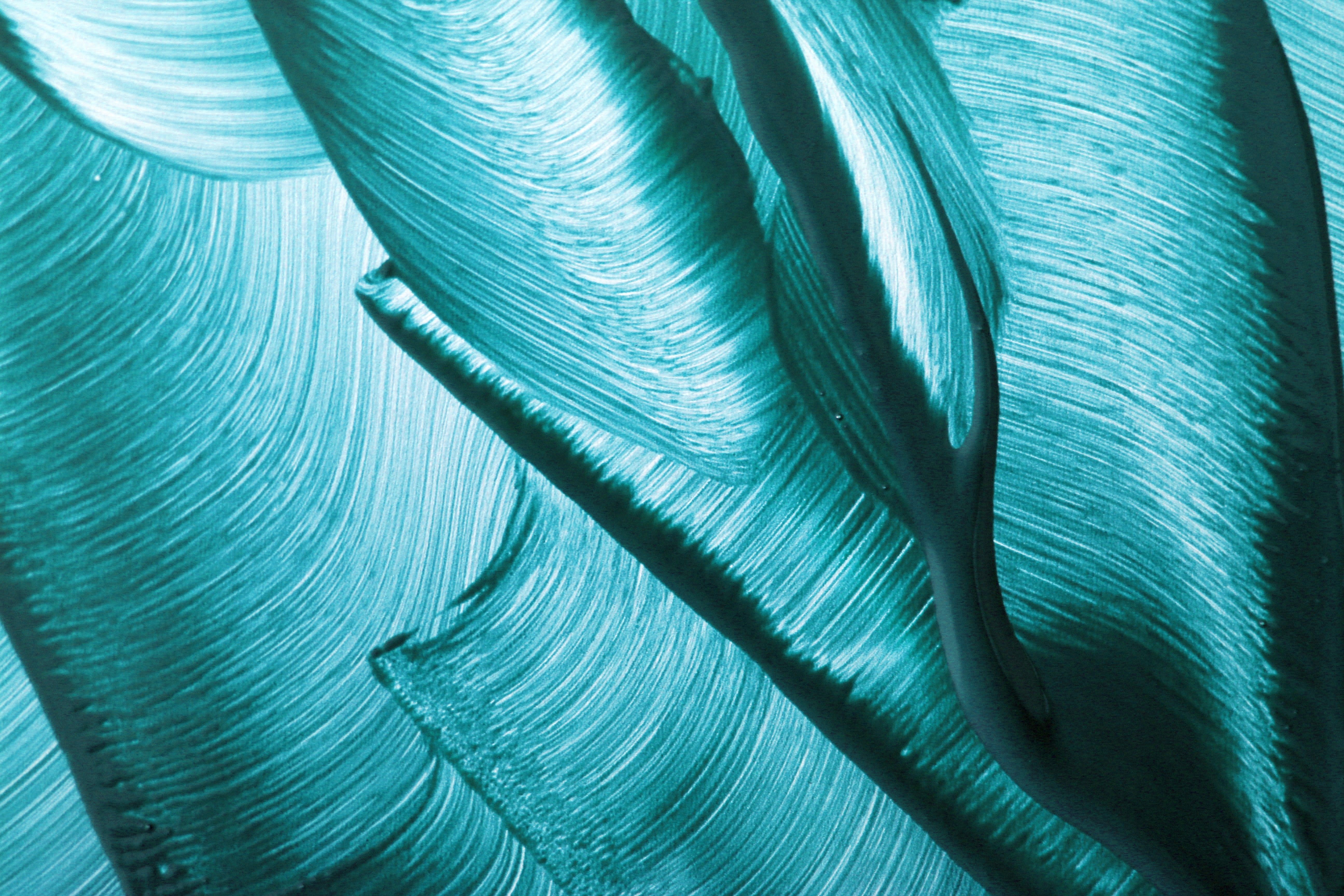 5184x3456 Phthalo Green Photo, Download The BEST Free Phthalo Green & HD Image