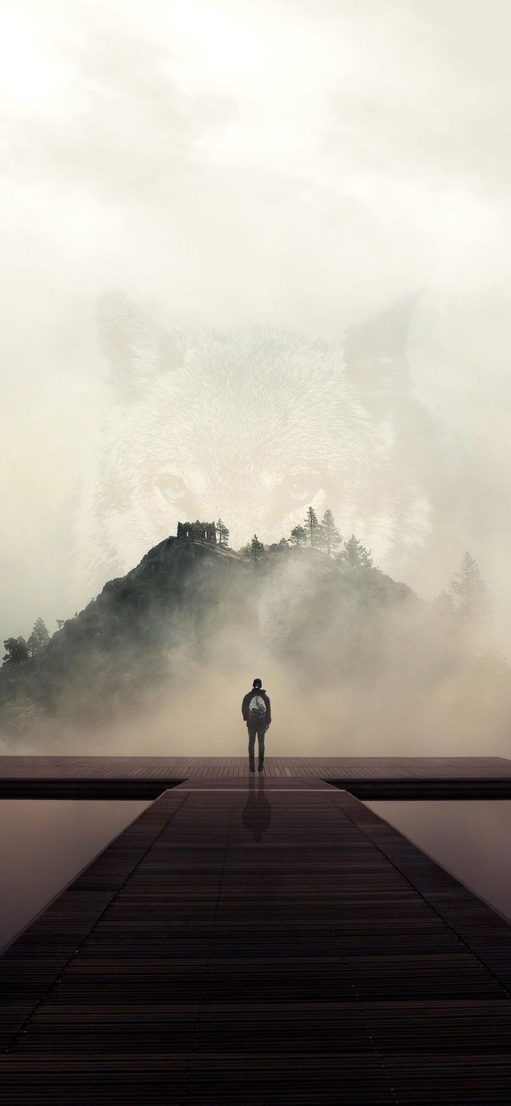 736x1593 Solo Travel Wallpaper