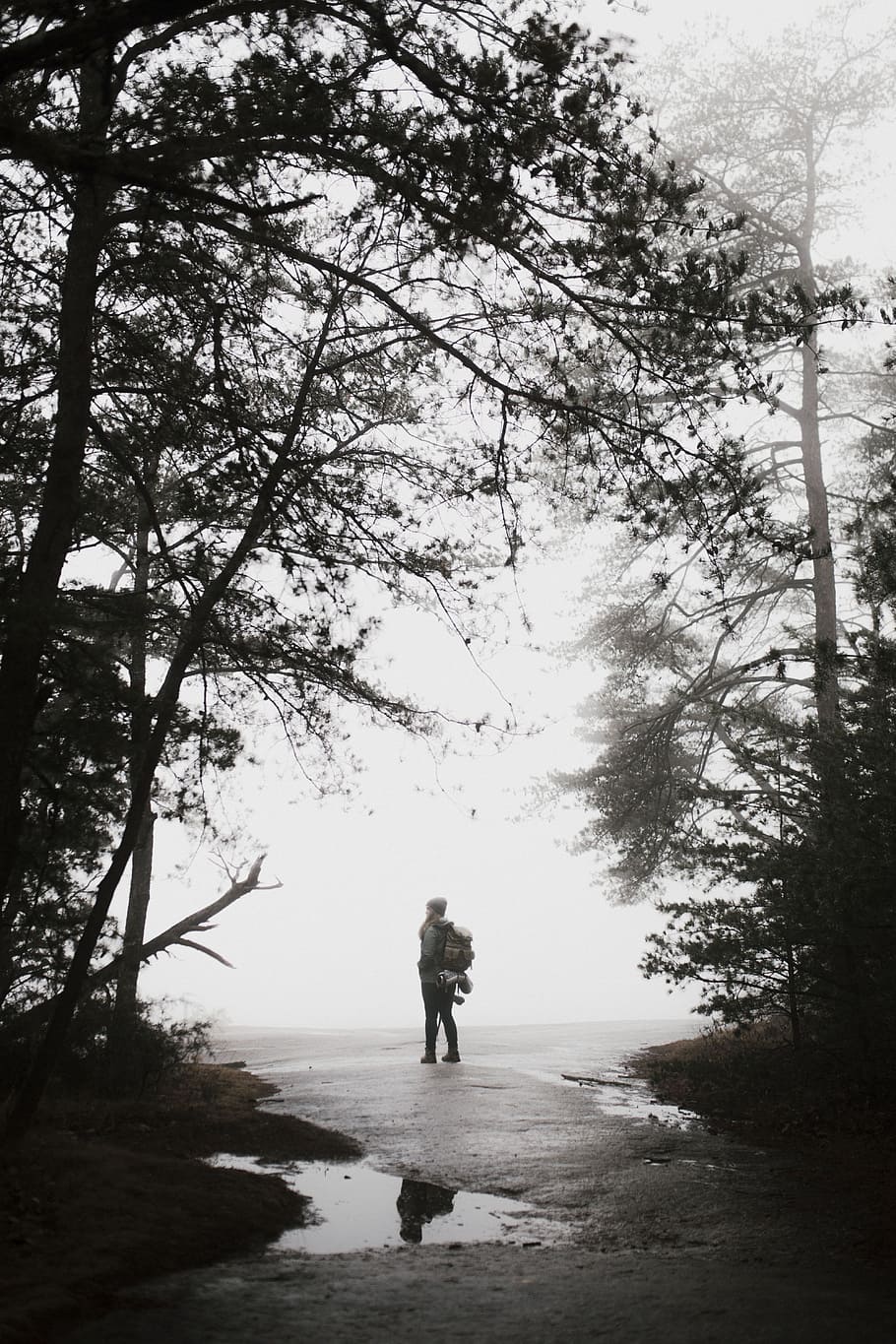 910x1365 HD wallpaper: tree, plant, nature, travel, outdoor, people, man, alone, hike