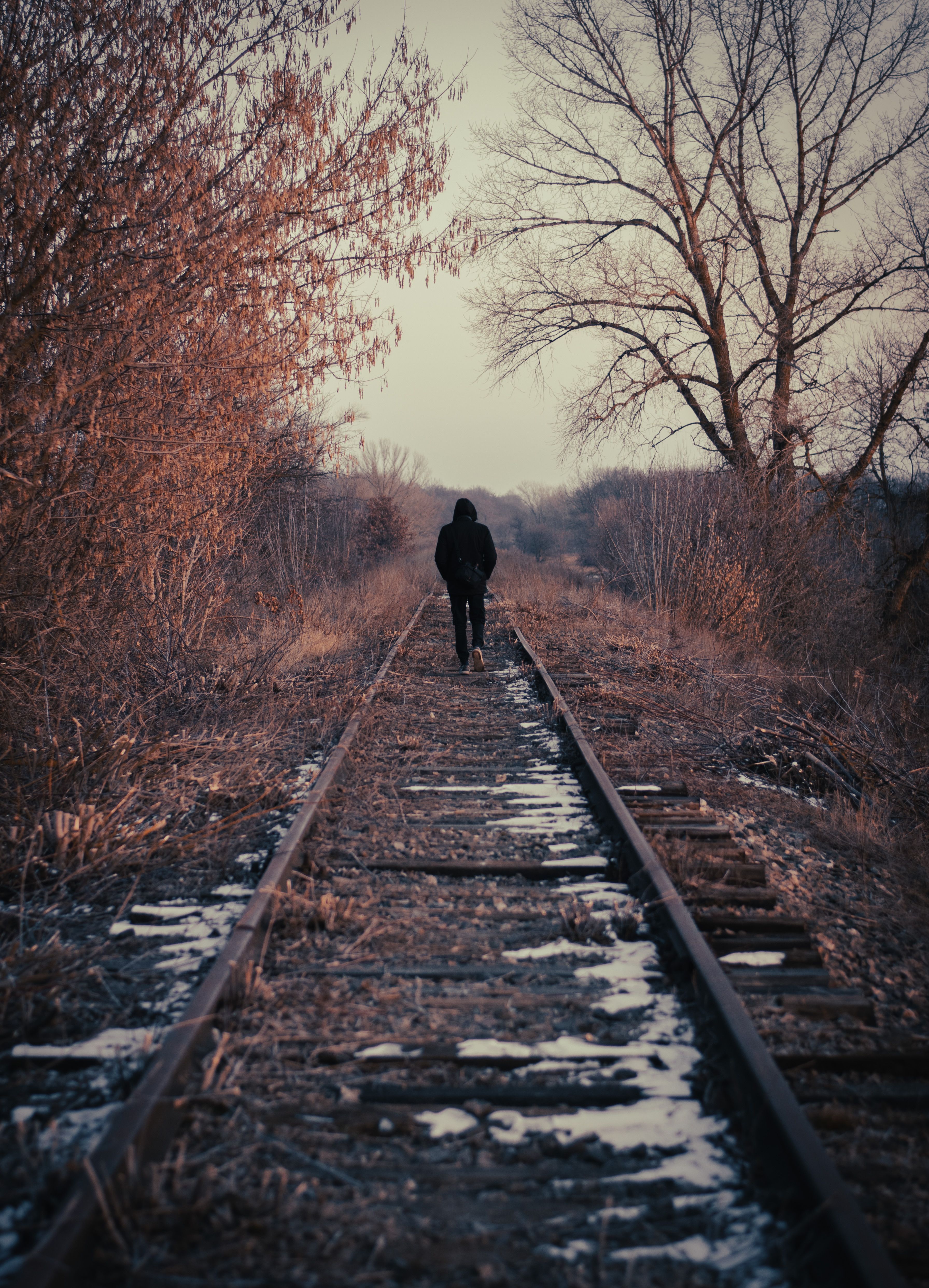 3584x4968 Lone Journey Photo, Download The BEST Free Lone Journey & HD Image