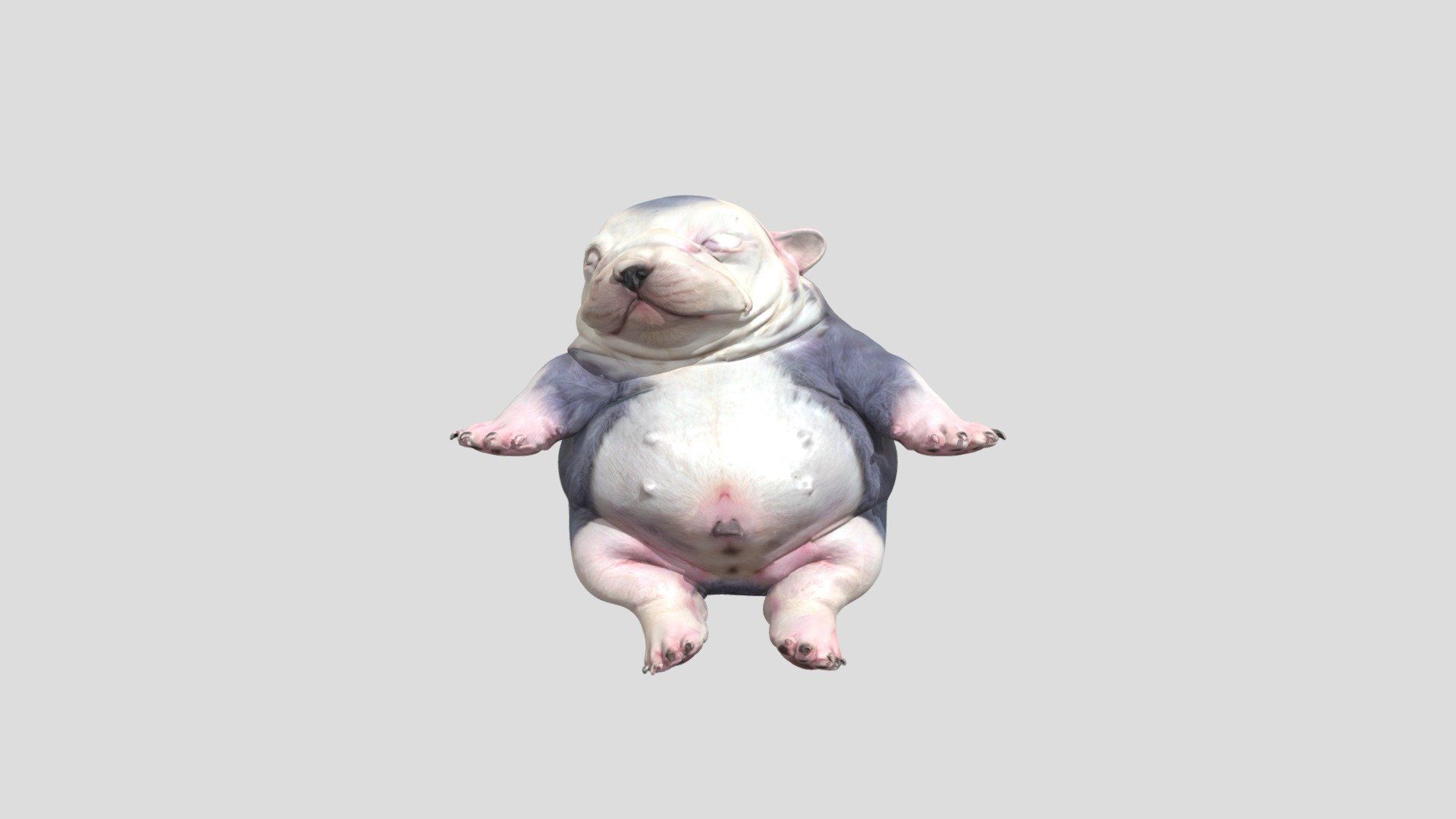 1920x1080 Pibble Free 3D model by serendeds [ba1d764]