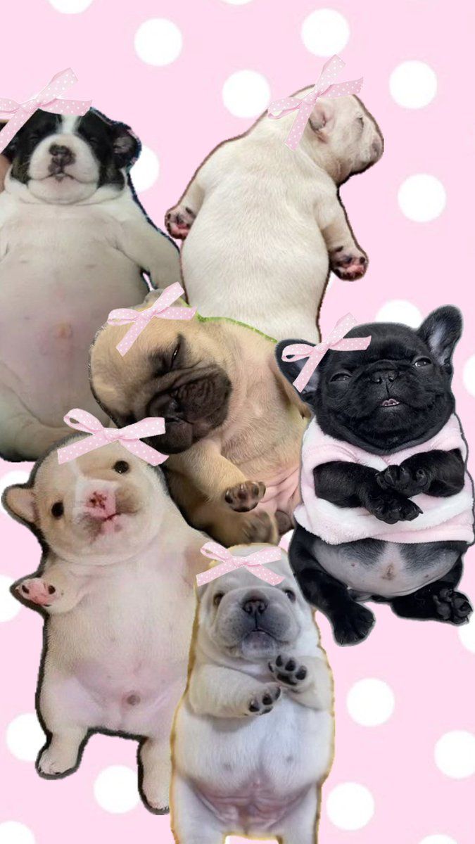 675x1200 gpibble ! wash my belly!