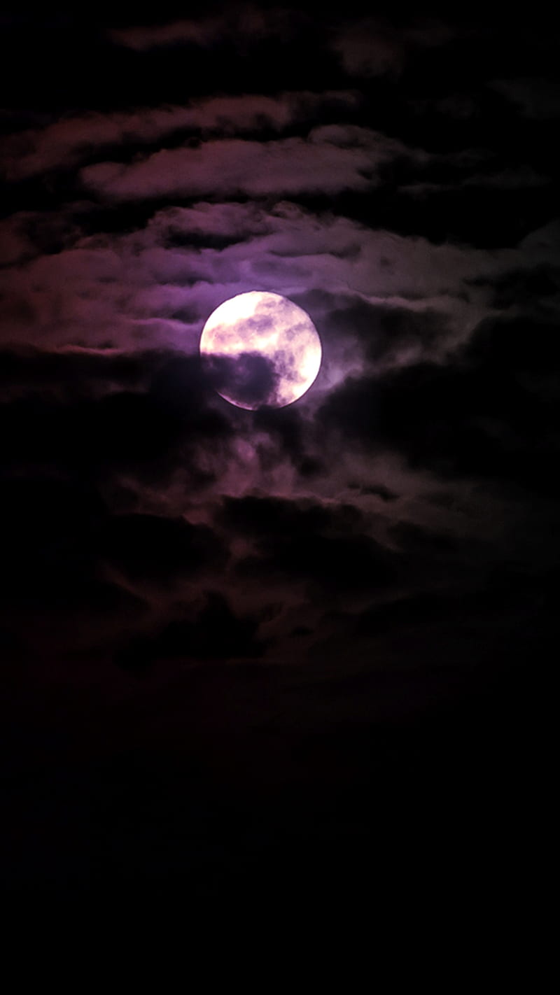 800x1422 Purple Moonlight, breathtaking, moonlight, purple, HD phone wallpaper