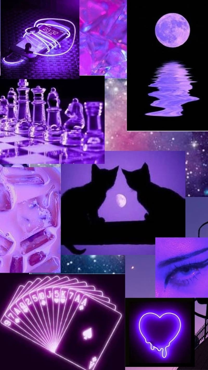 800x1421 Aesthetic Purple, Moon And Cat, moon, cat, neon, HD phone wallpaper