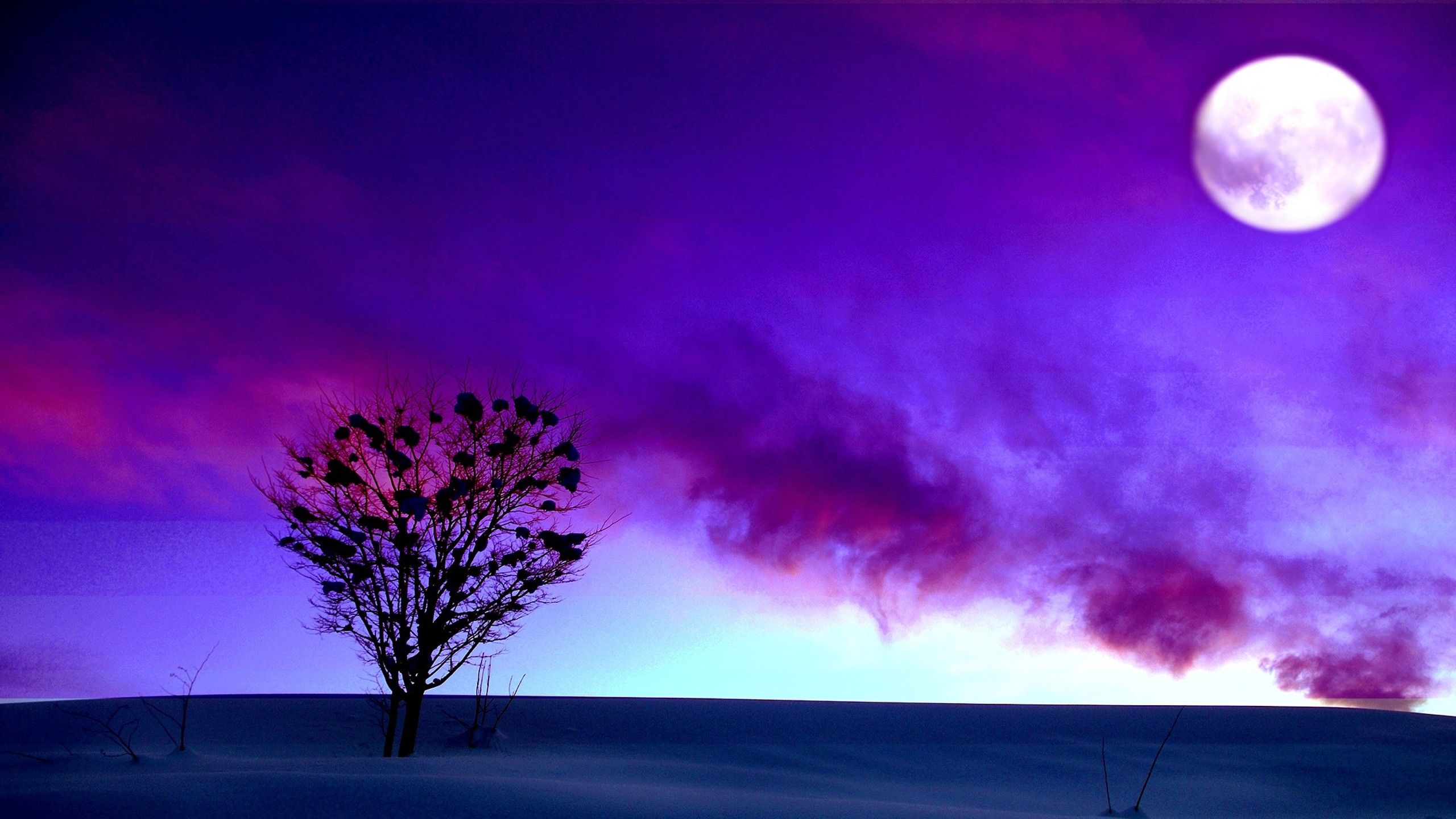 2560x1440 Purple Cloud With Moon During Night Time HD Purple Wallpaper