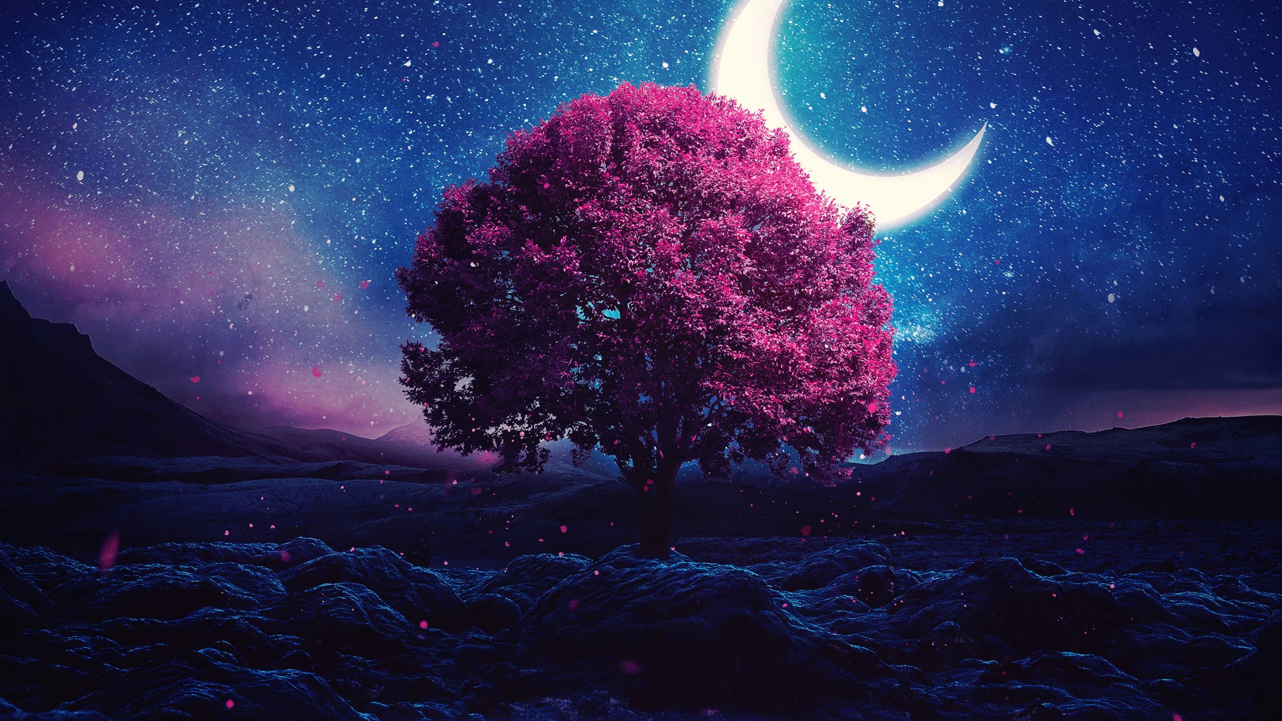 2560x1440 Aesthetic Wallpaper 4K, Lone tree, Crescent Moon