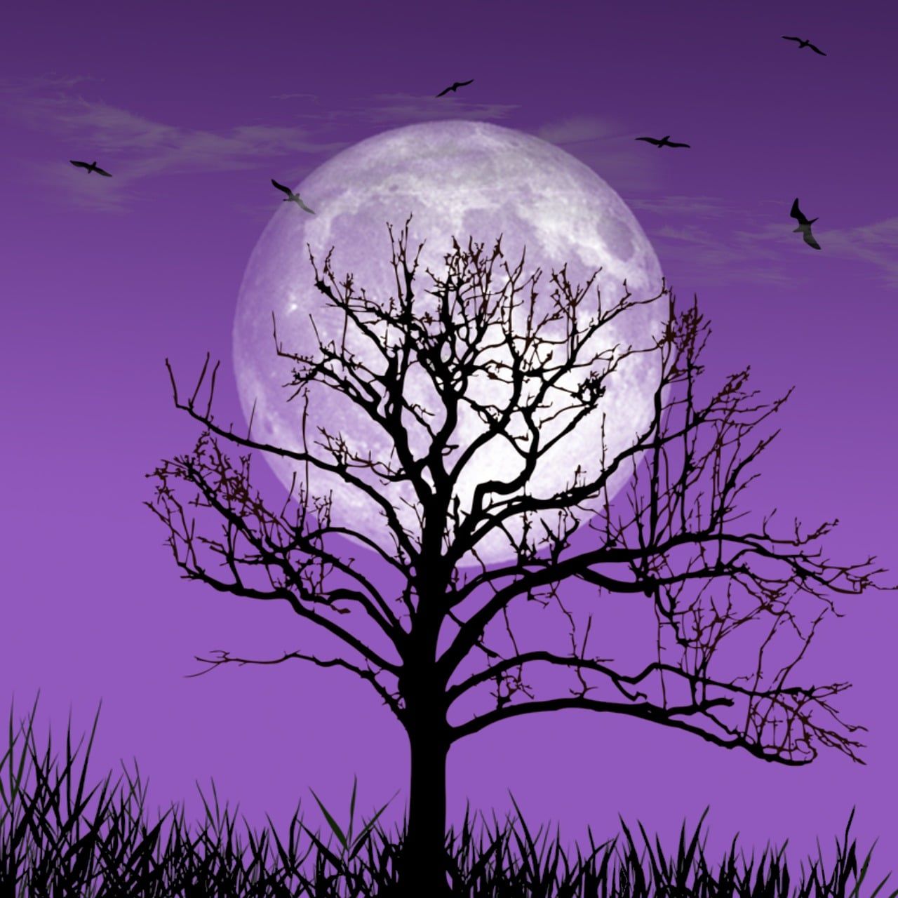 1280x1280 Download Moon Night Sky. Royalty Free Stock Illustration Image