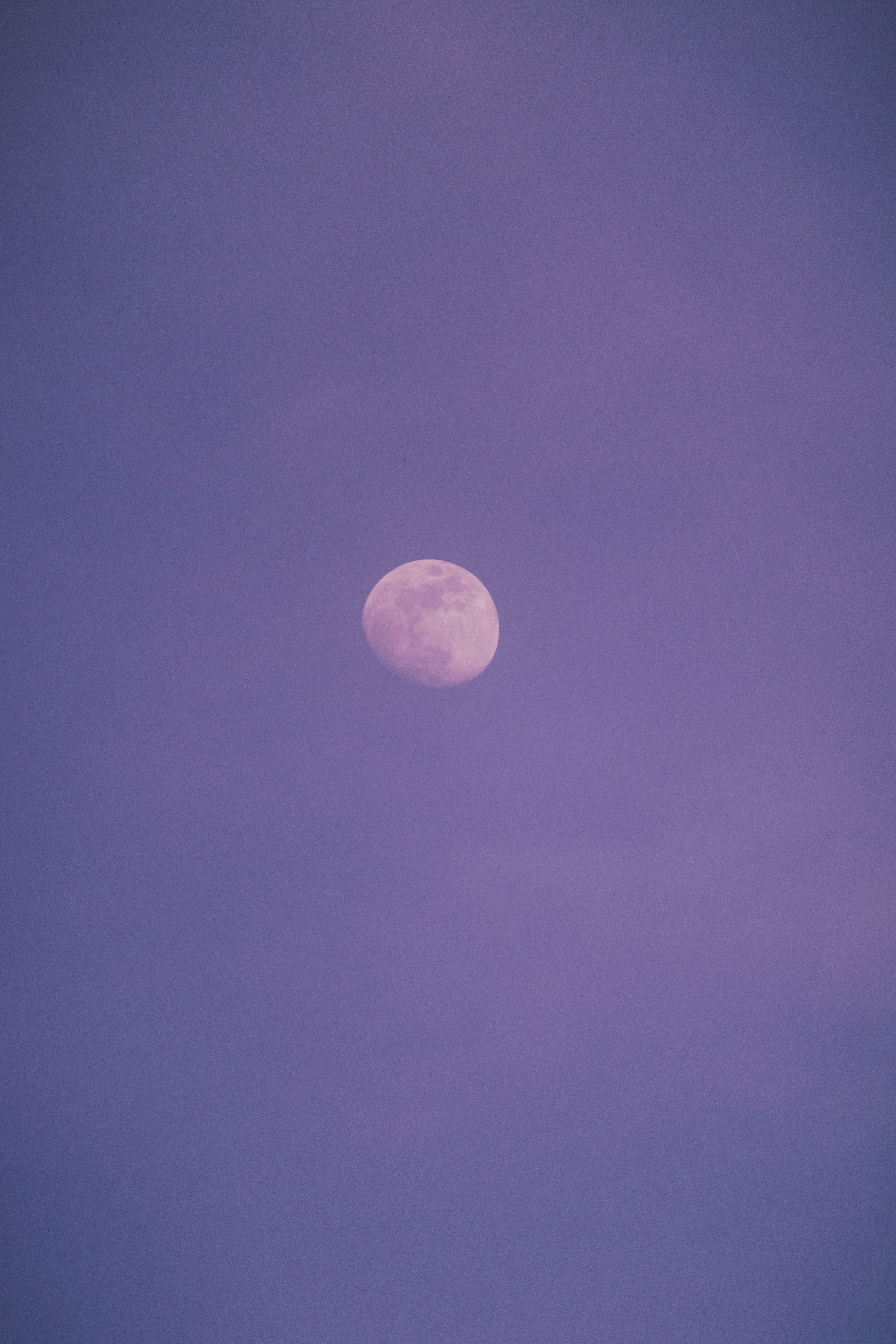 4000x6000 Spotted moon in violet sky in evening · Free