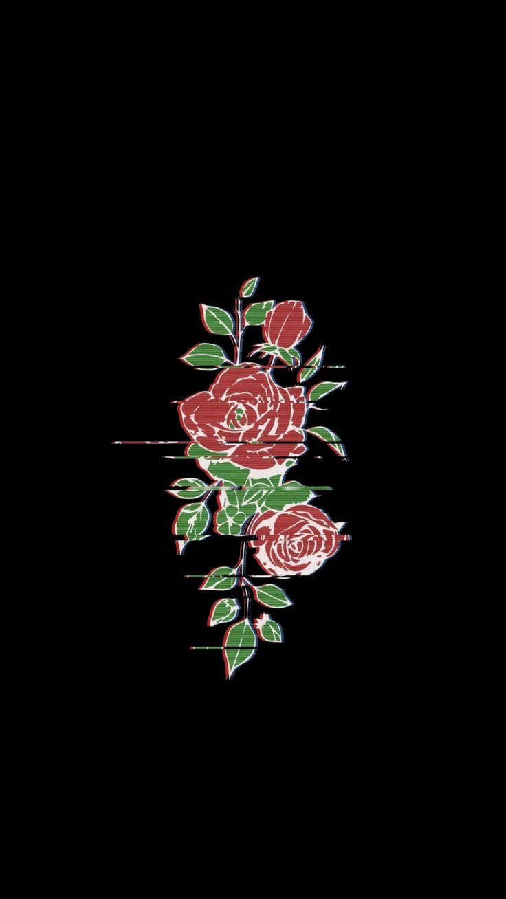 736x1308 Rose Flower Amoled Wallpaper for Phone