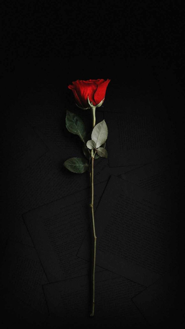 736x1308 iWallpaper