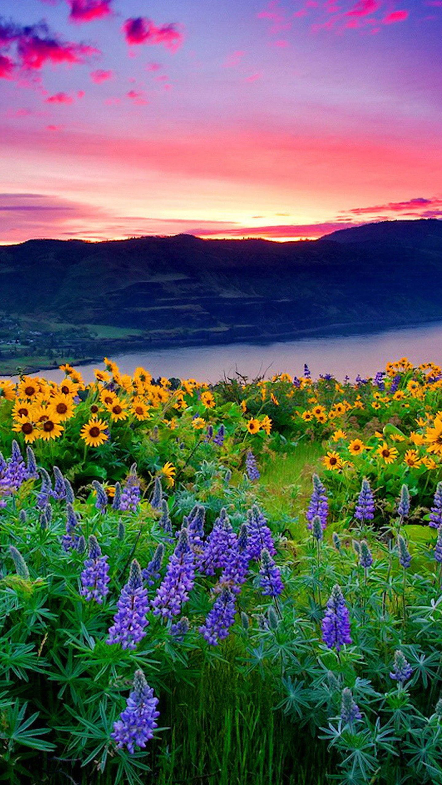 1440x2560 Landscape Of Yellow Flowers And Blue Mountain Lake Hills Under Red Cloud Sunset 4K HD Nature Wallpaper