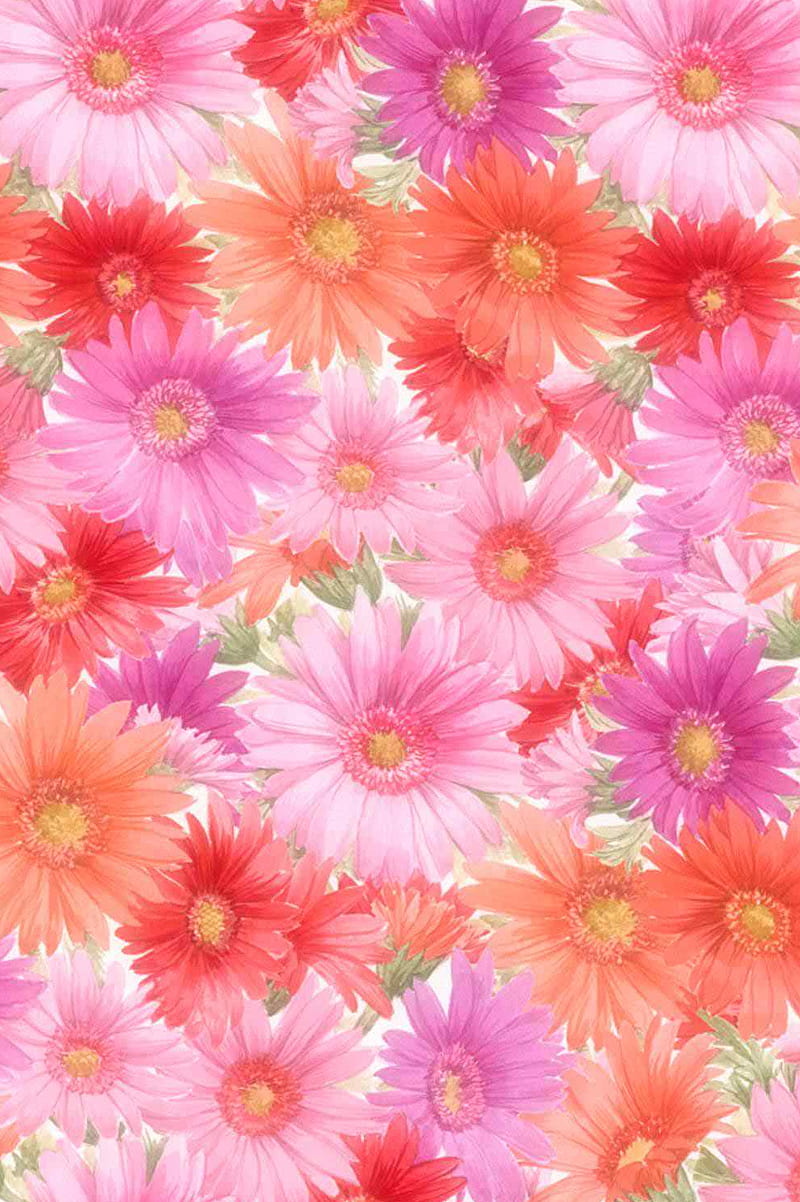 800x1202 Beautiful Flowers, background, flower nature, nice, HD phone wallpaper