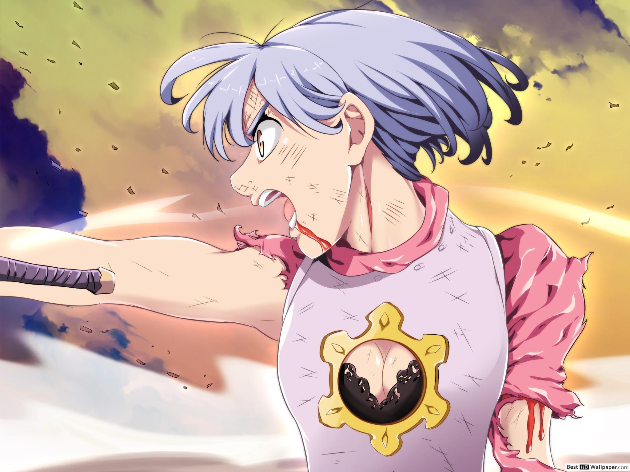 2048x1536 The Seven Deadly Sins, Holy Knight HD wallpaper download
