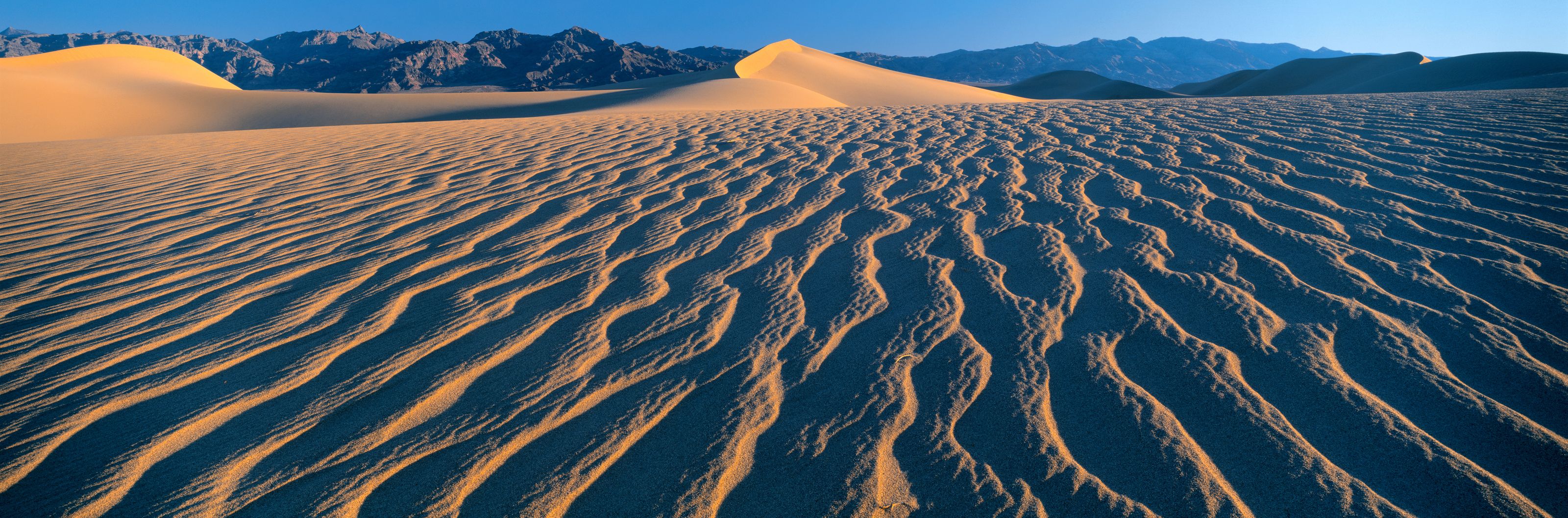 3200x1057 Dune Field, Death Valley National Park California Wall Mural