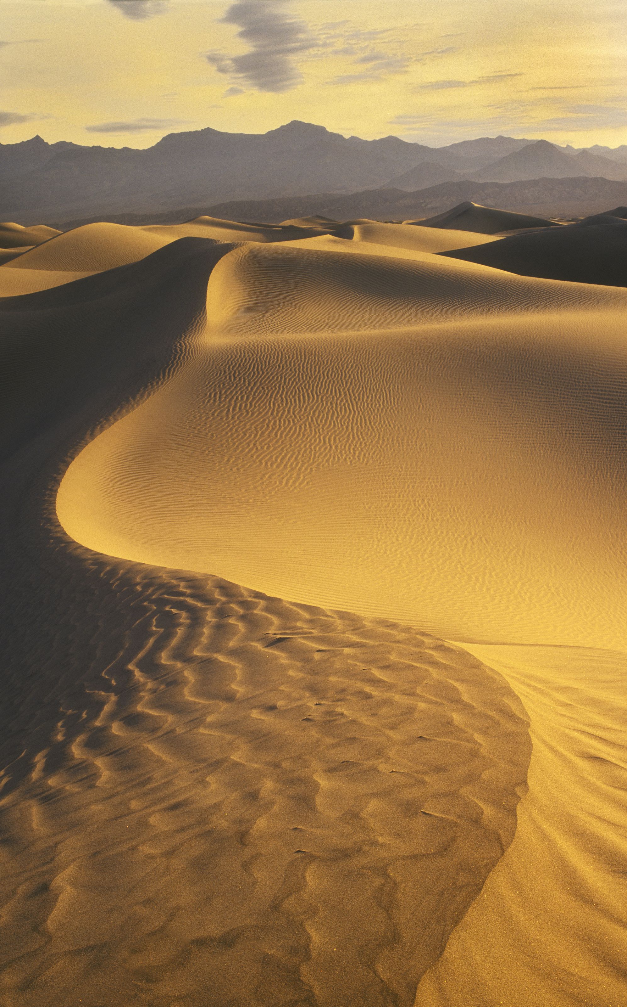 1994x3200 Sand Dunes Death Valley Wall Mural