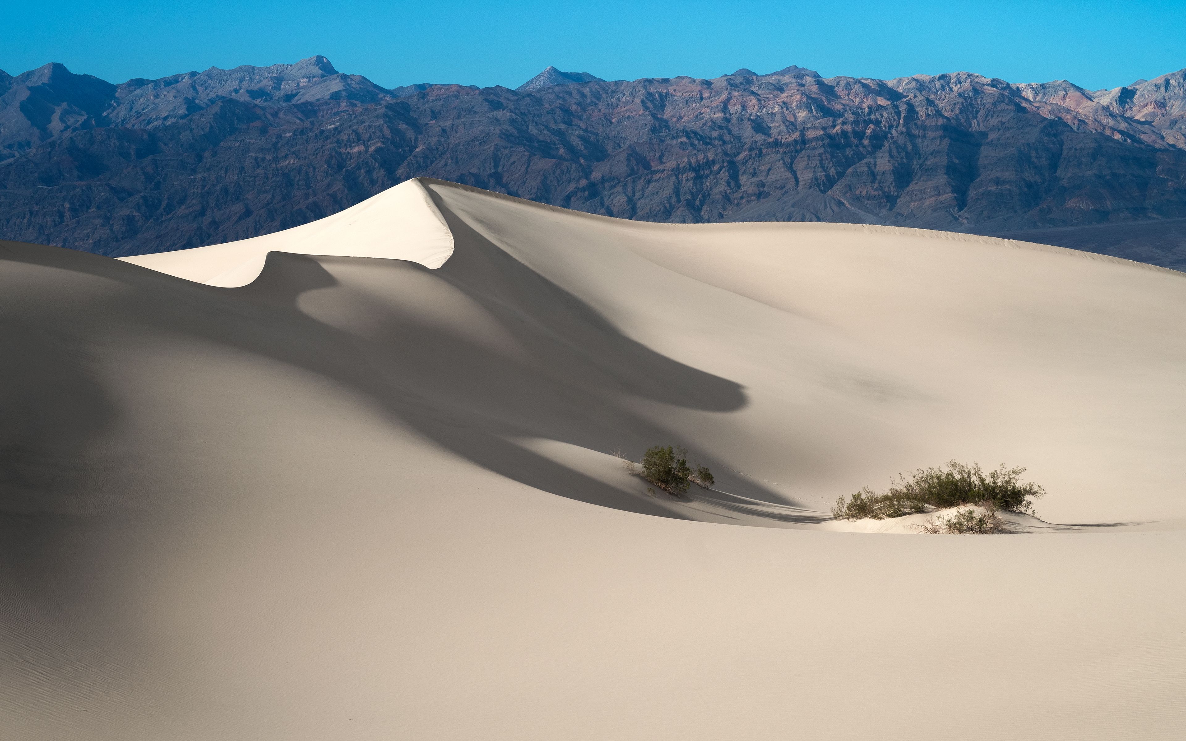 3840x2400 Mesquite Flat Sand Dunes Wallpaper 4K