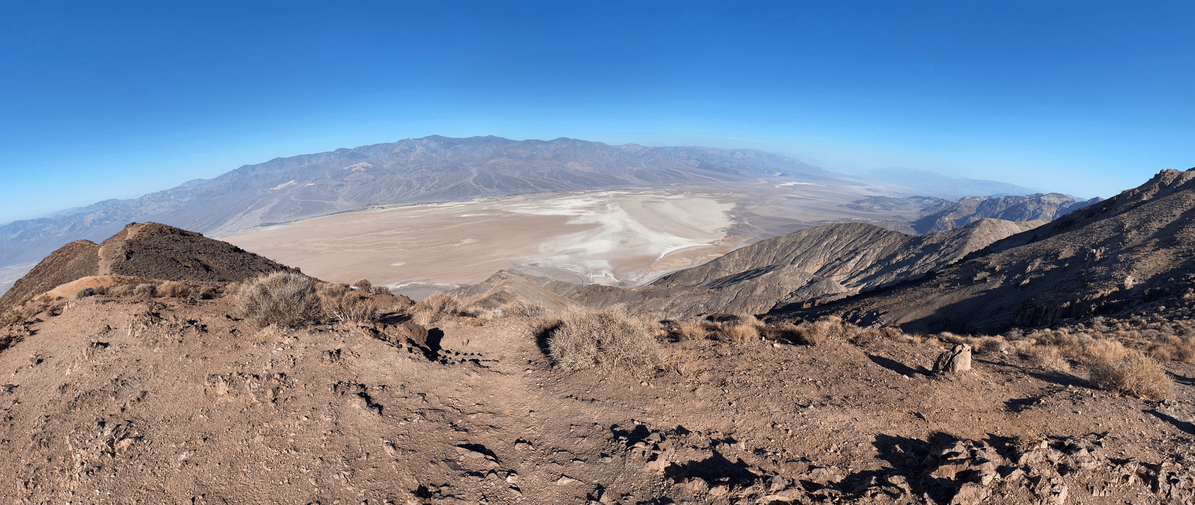 2347x993 Virtual Field Trips