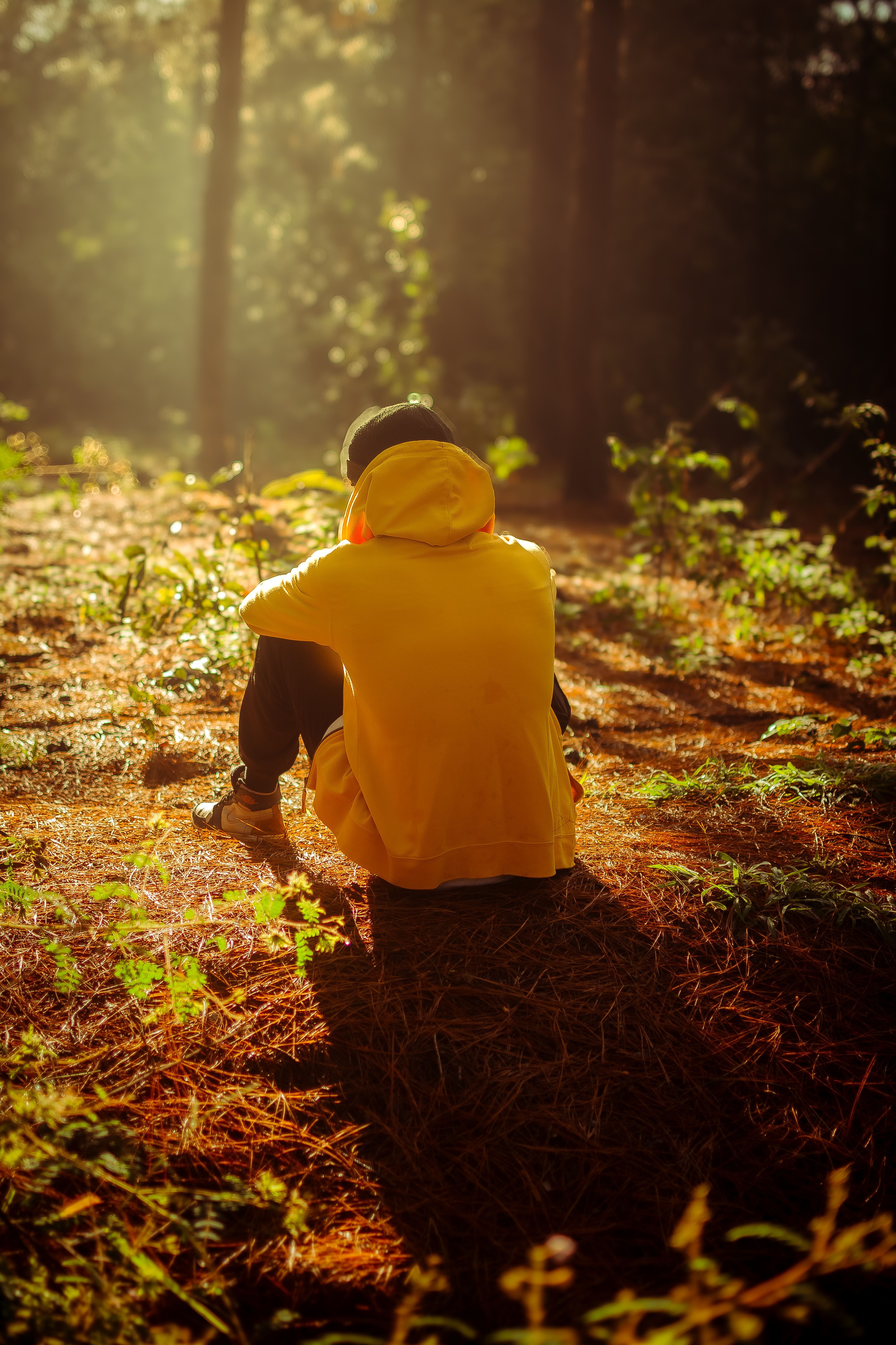 4000x6000 Leave Me Alone Photo, Download The BEST Free Leave Me Alone & HD Image